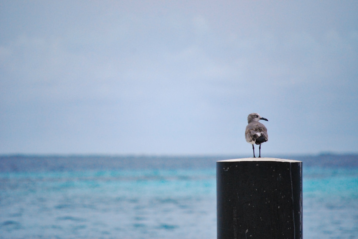 Los Roques, Venezuela