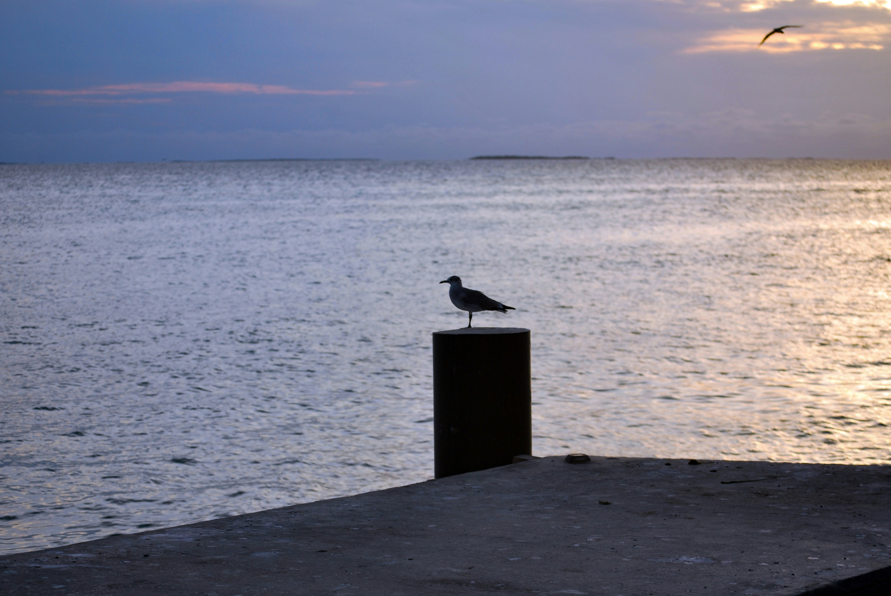 Photo by legallyguaricho