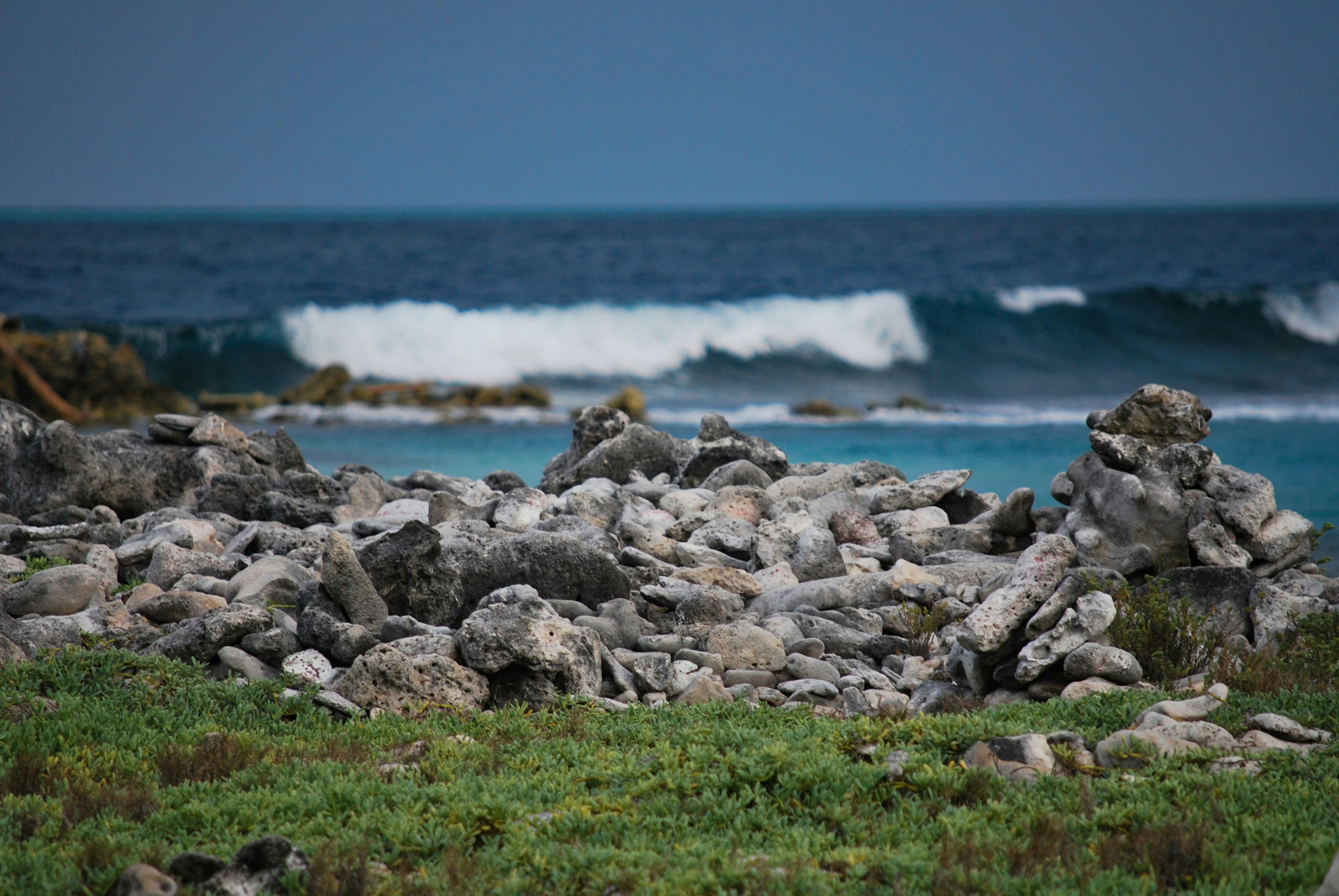 Photo by legallyguaricho