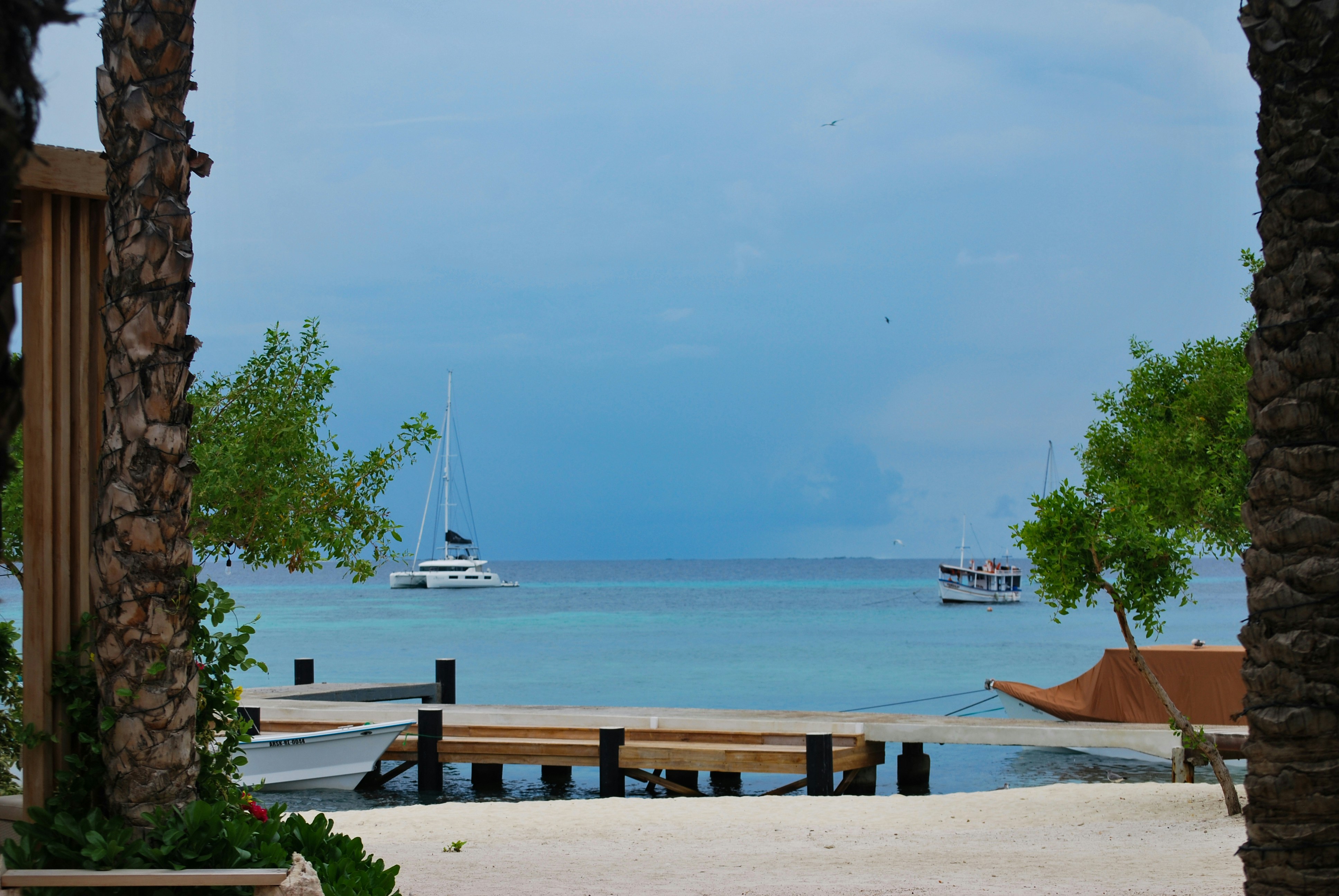 Photo by legallyguaricho