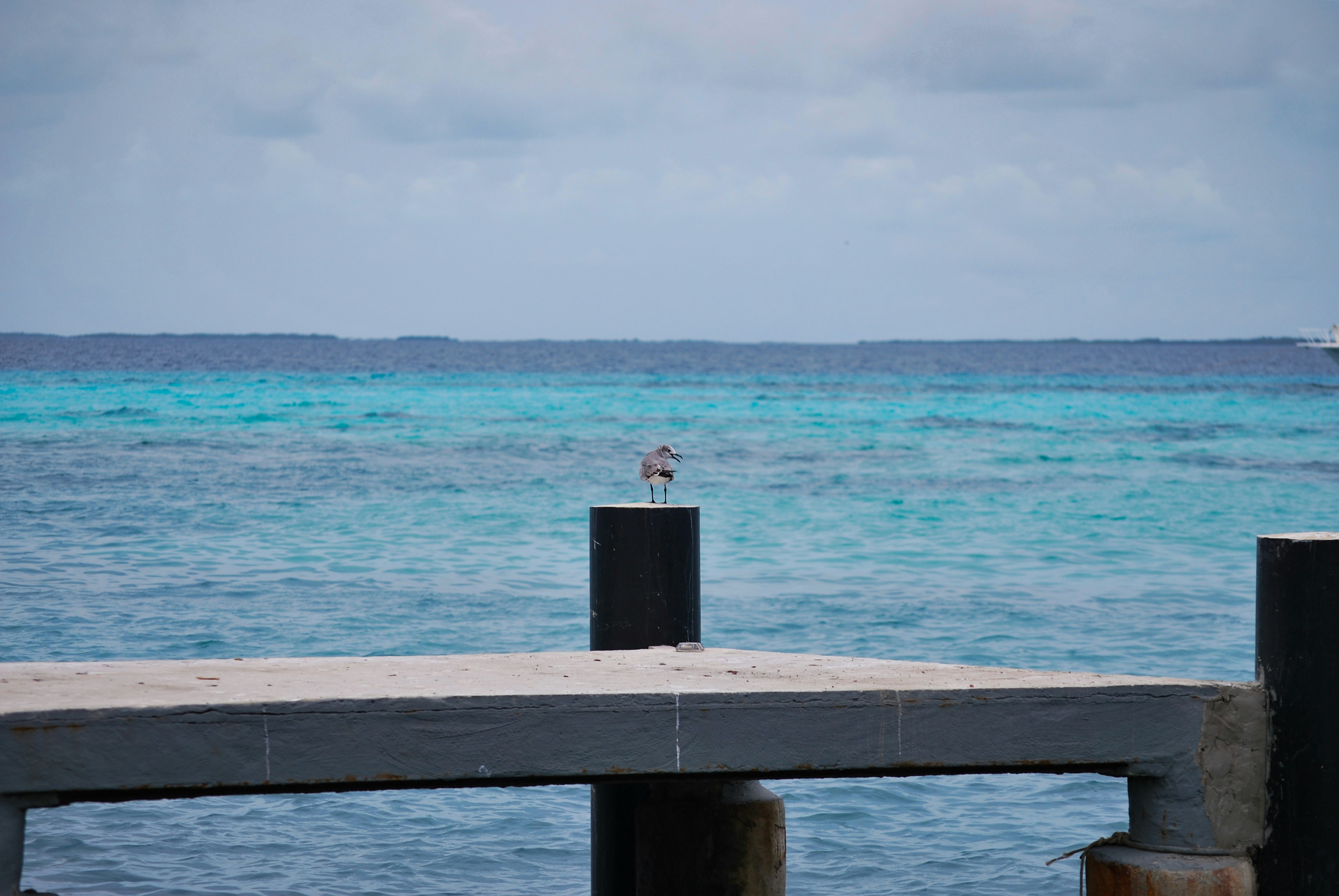 Los Roques, Venezuela - None