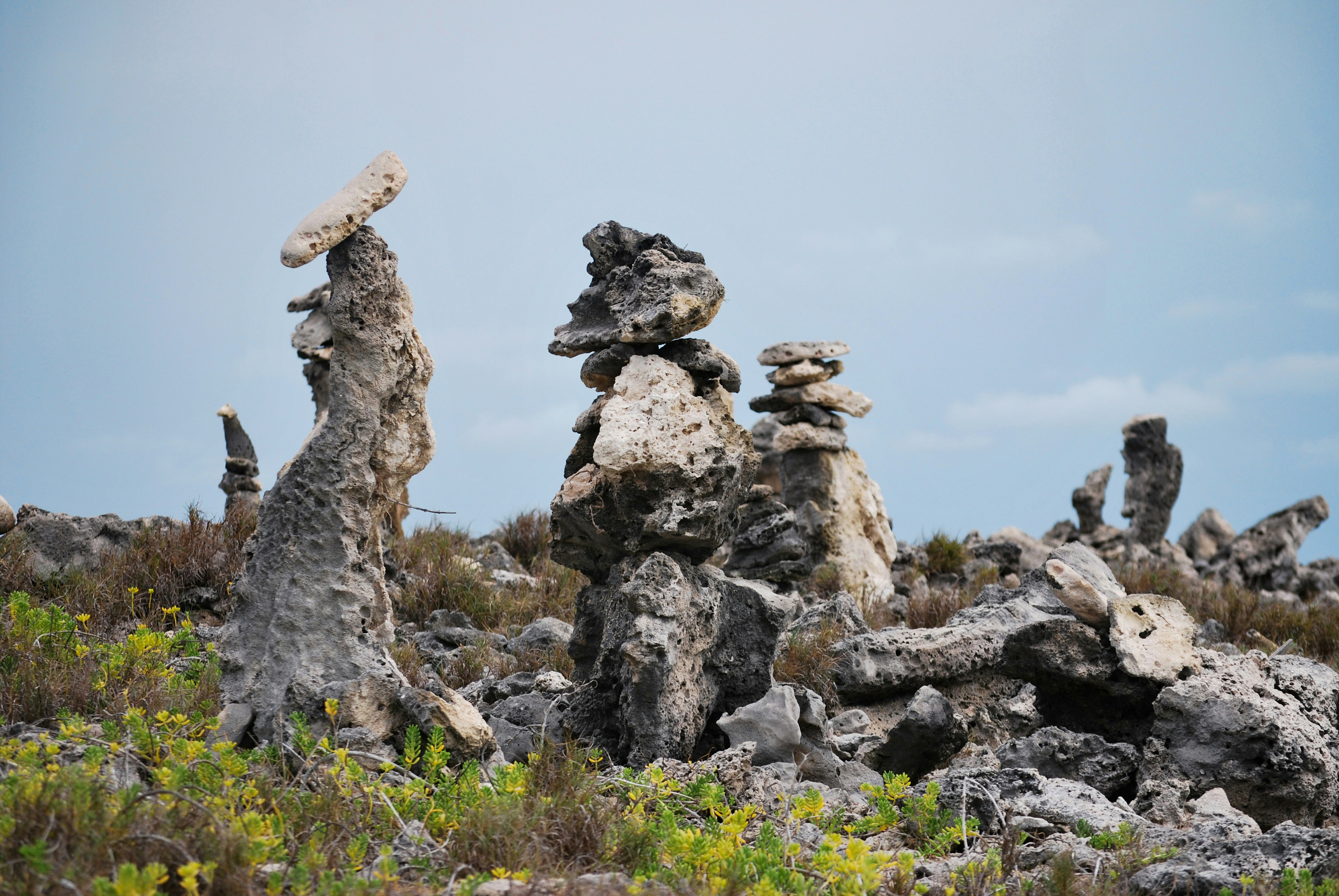 Photo by legallyguaricho