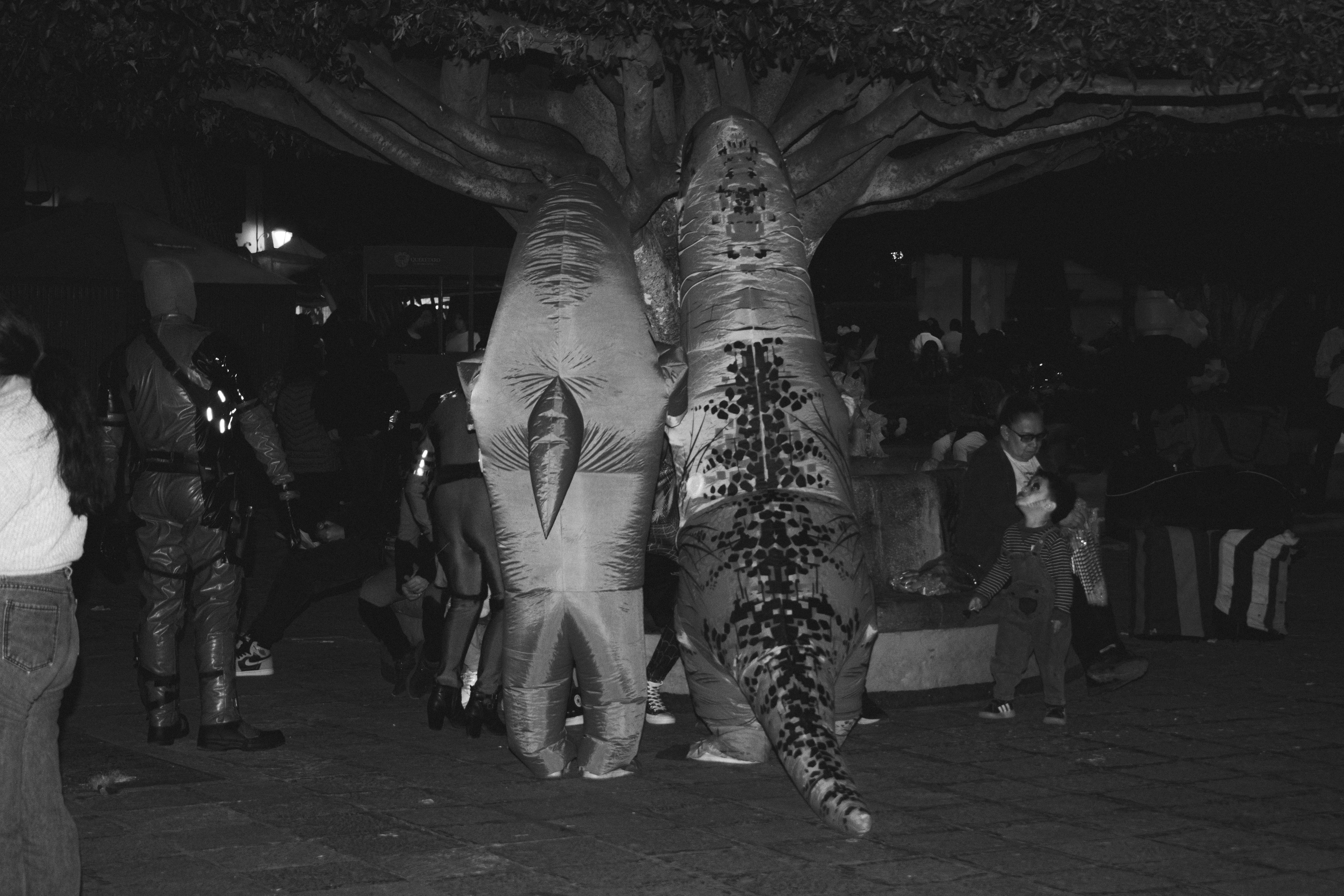 Photo by cejacityframes