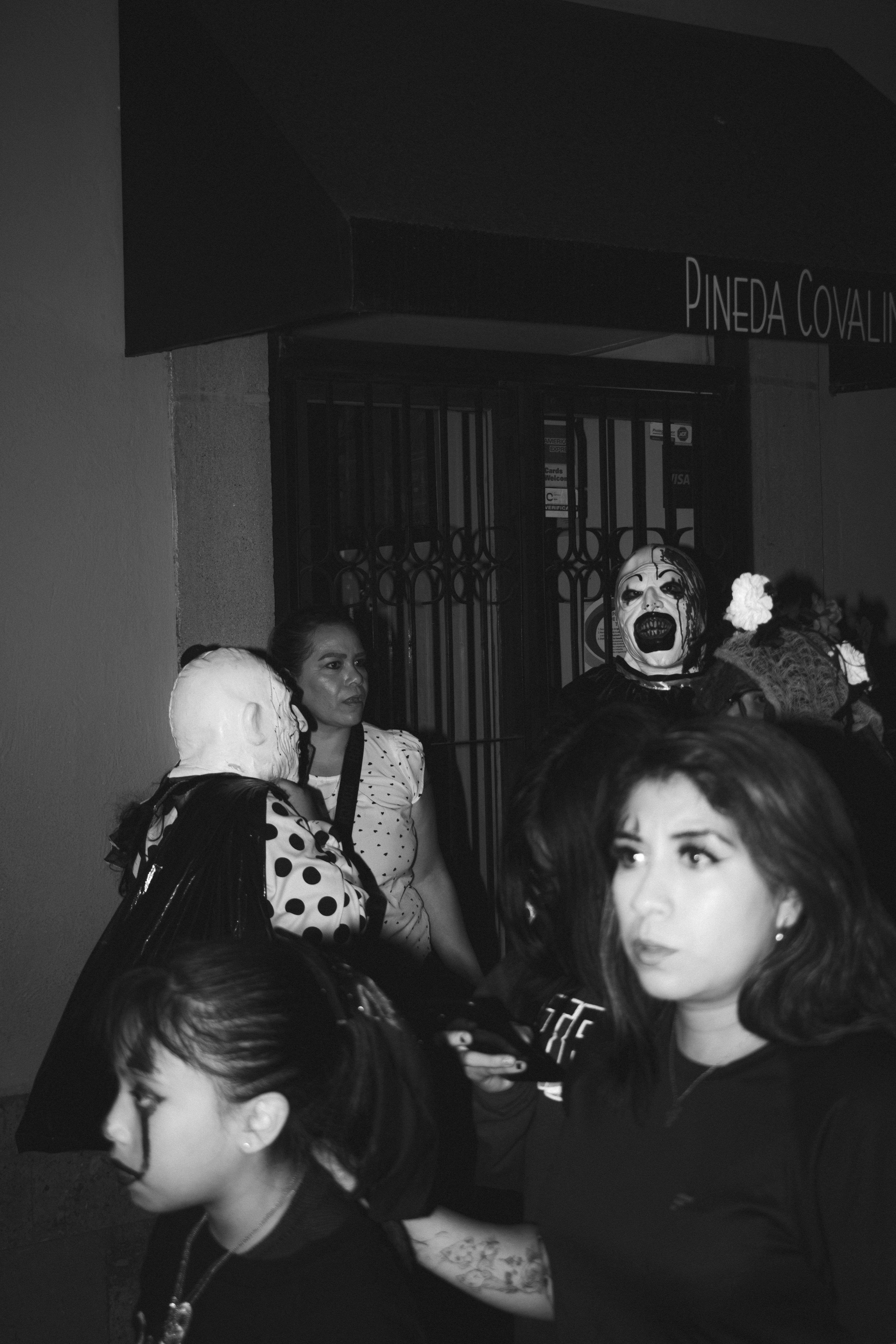 Only Fans Coco Vandi Pictures | Download Free Images on Unsplash