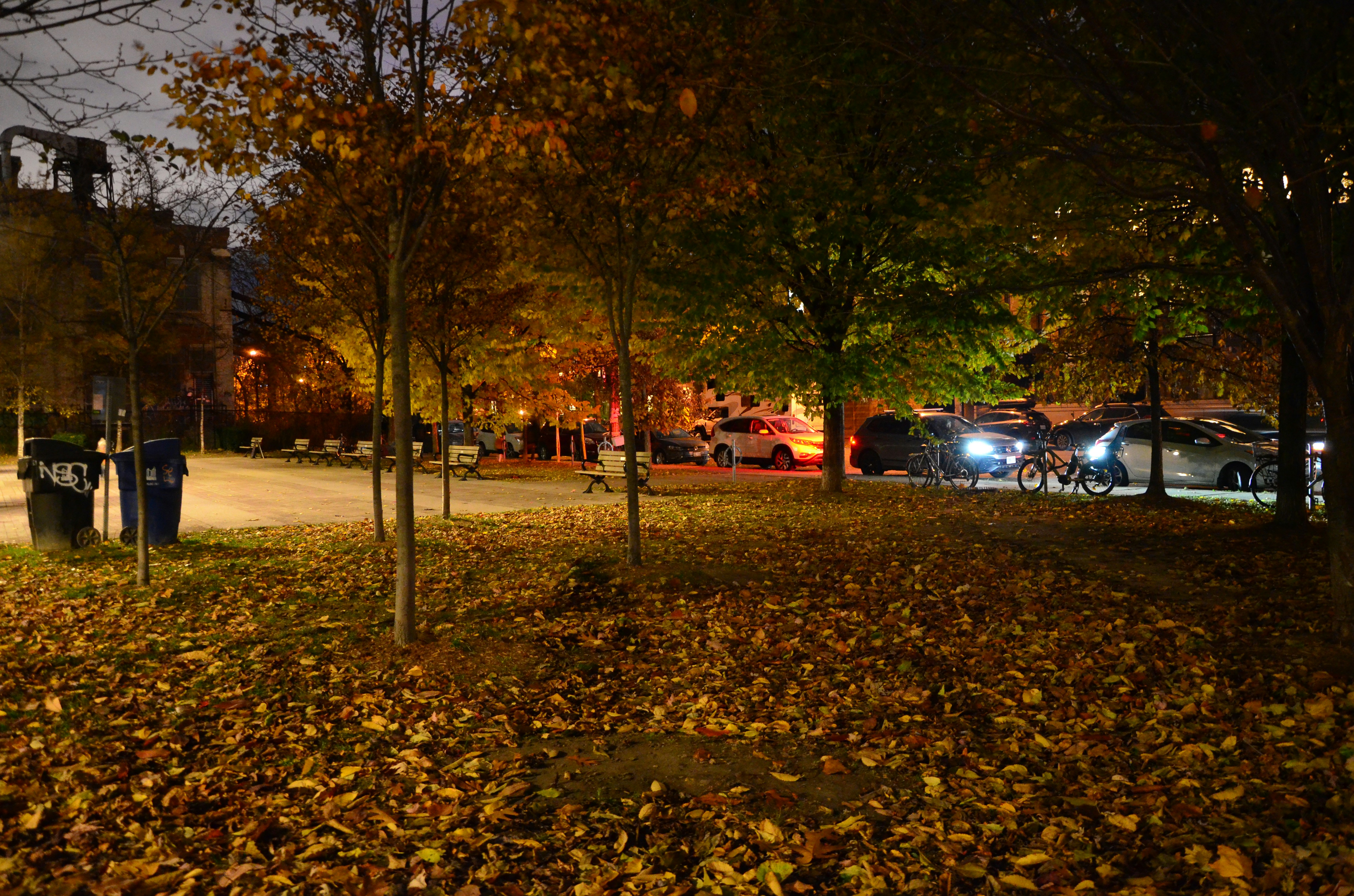 Photo by patroltheark