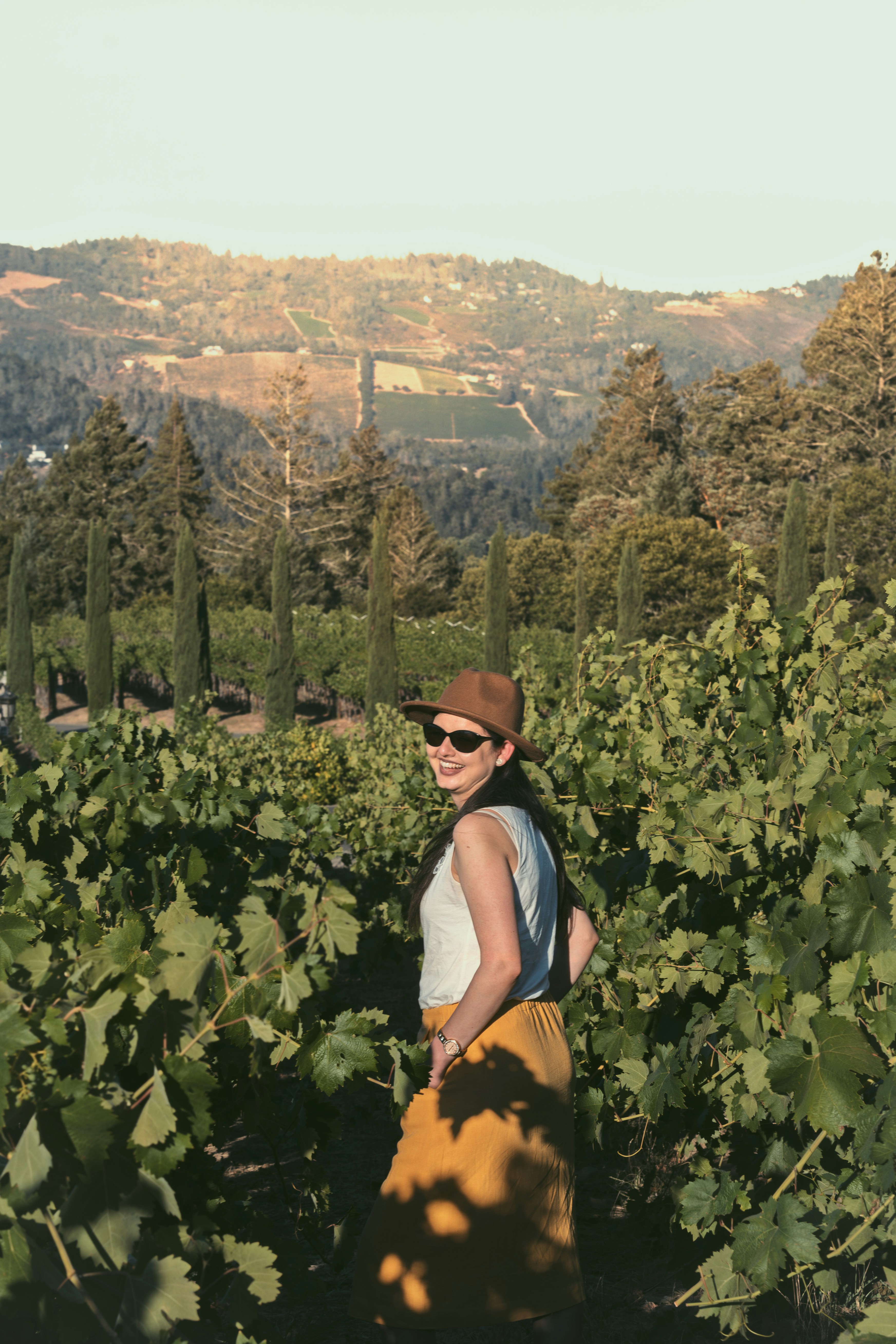 california vineyards