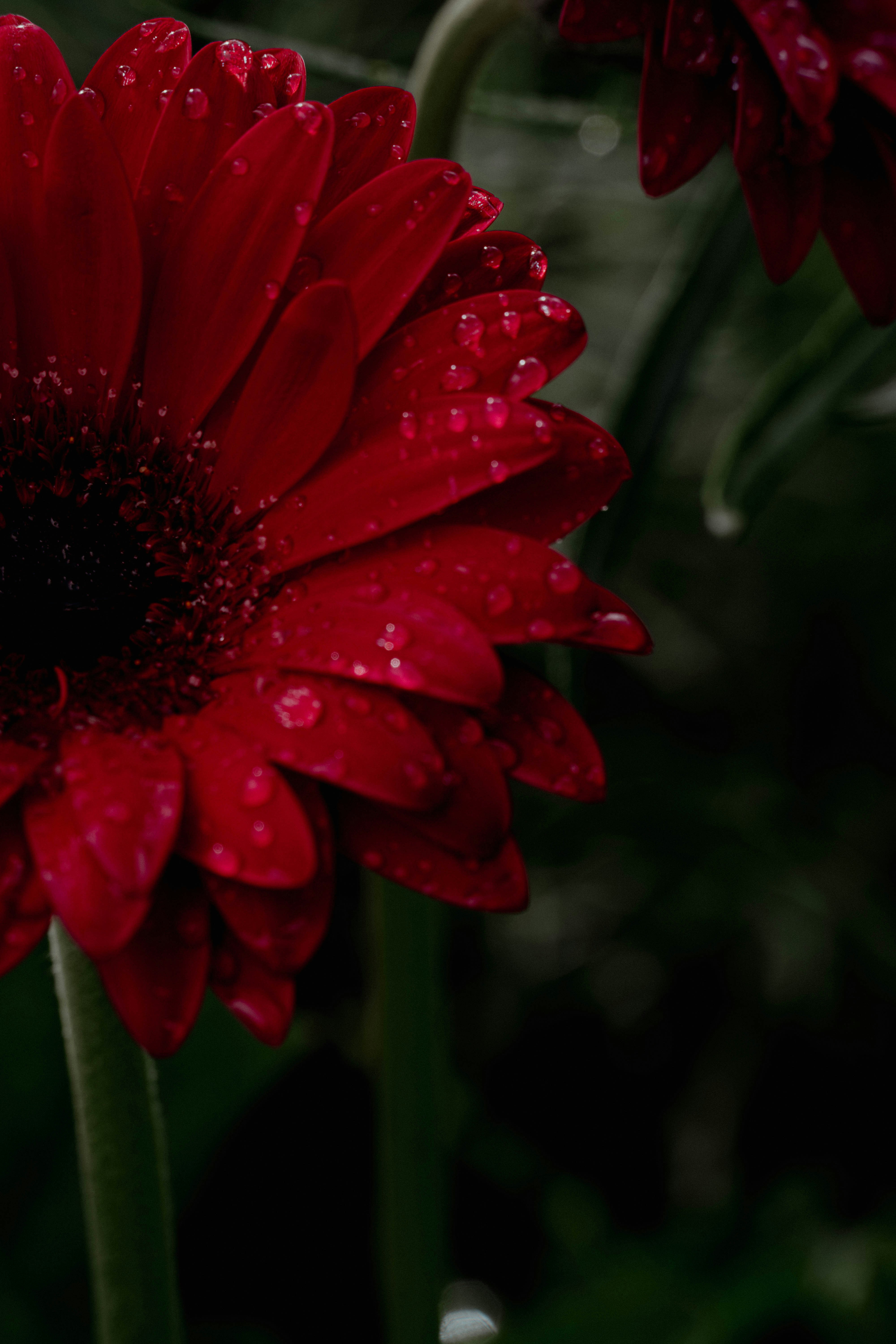 Photo by aminpics