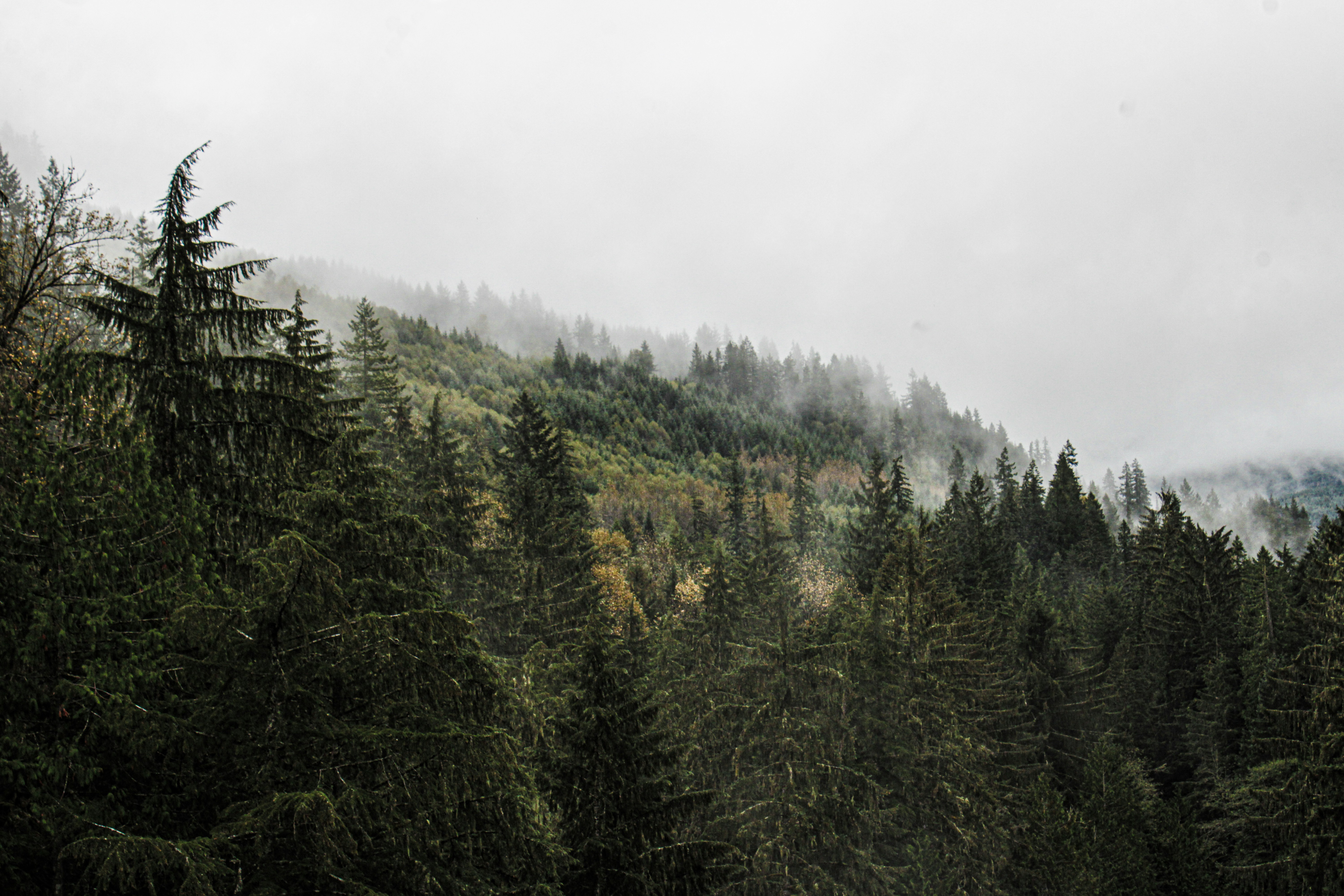 Photo by prphotography262