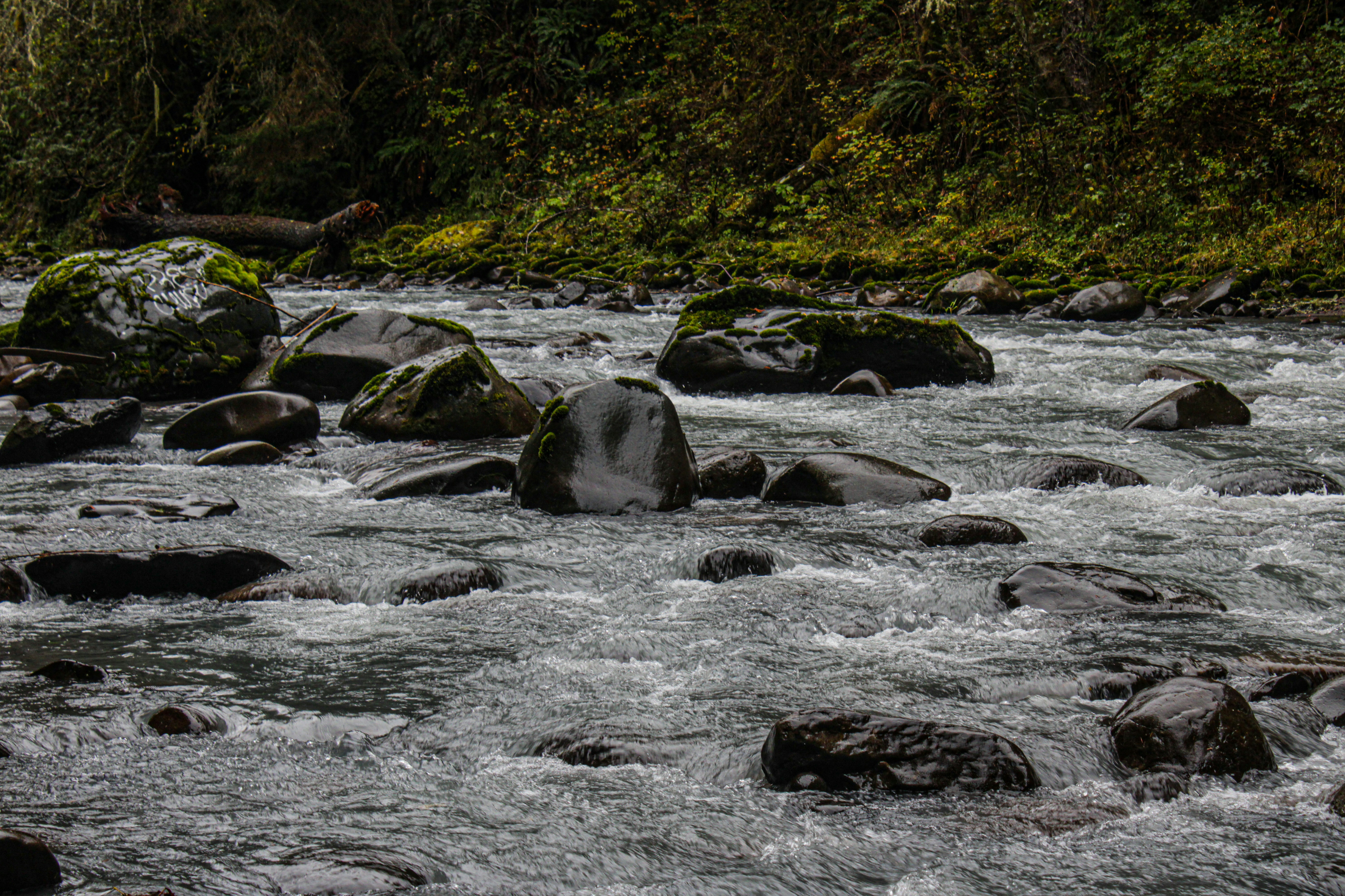 Photo by prphotography262