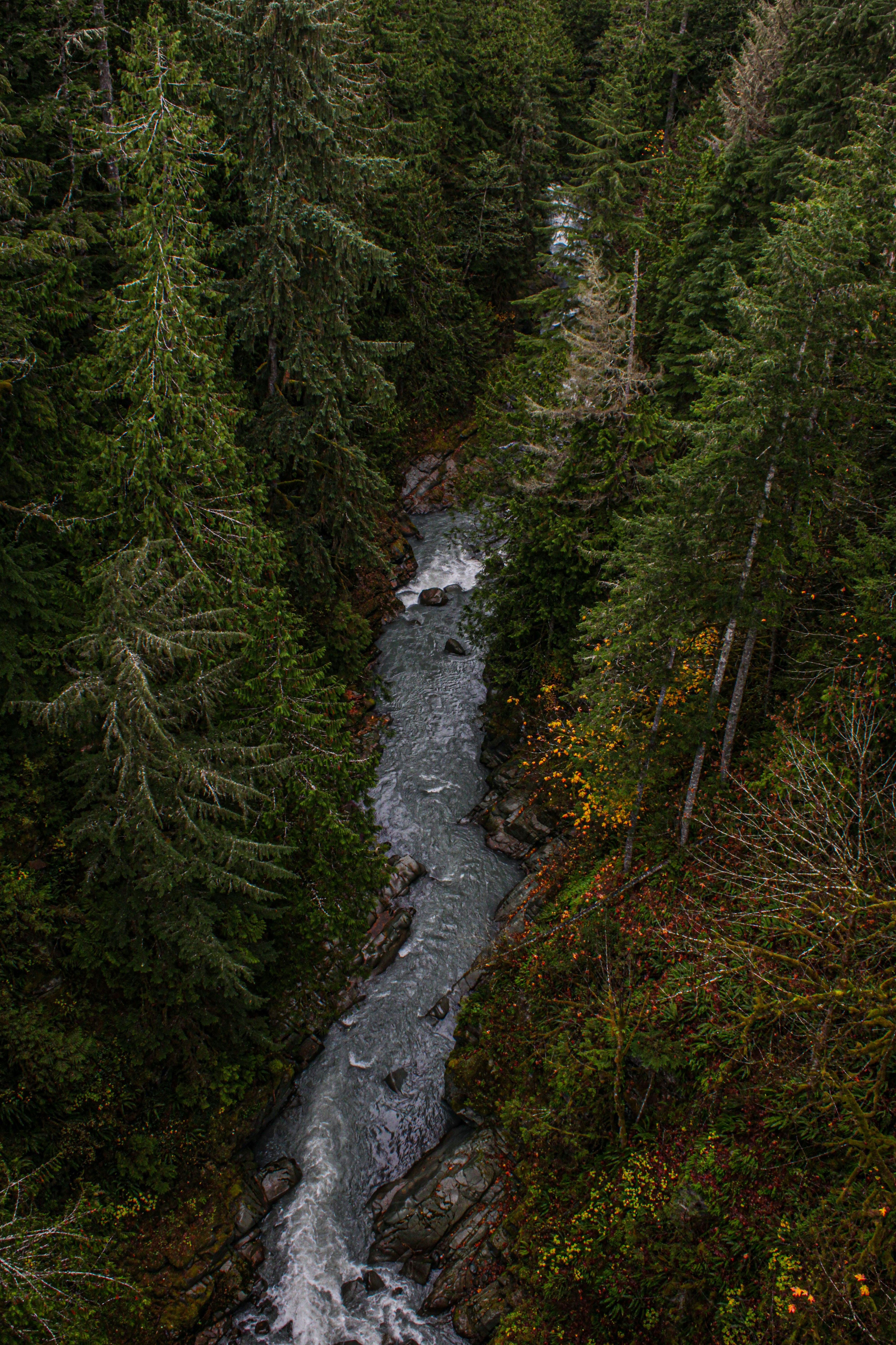 Photo by prphotography262