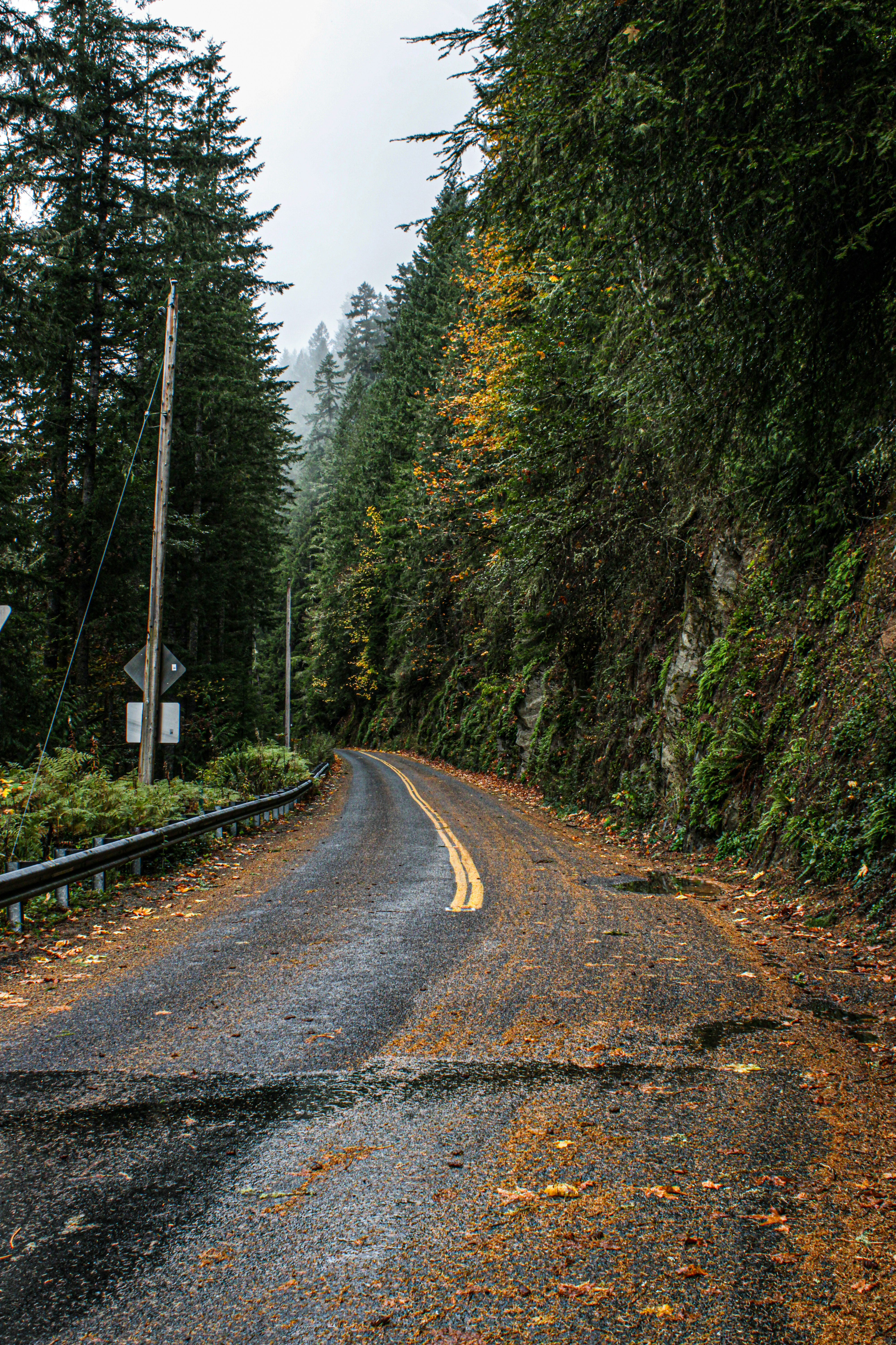 Photo by prphotography262