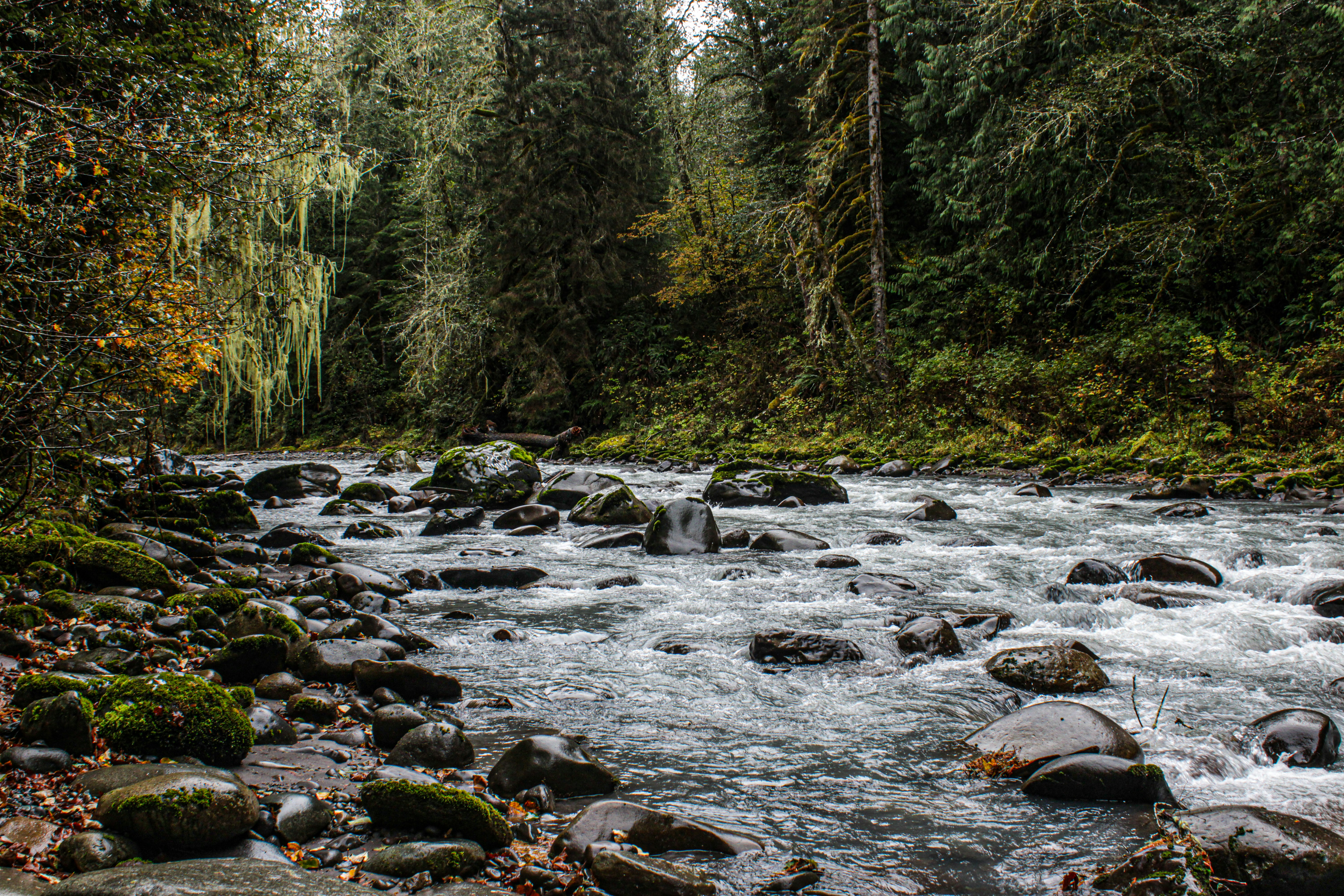 Photo by prphotography262