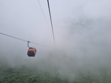 A cable car in the middle of a foggy forest