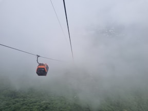 A cable car in the middle of a foggy forest