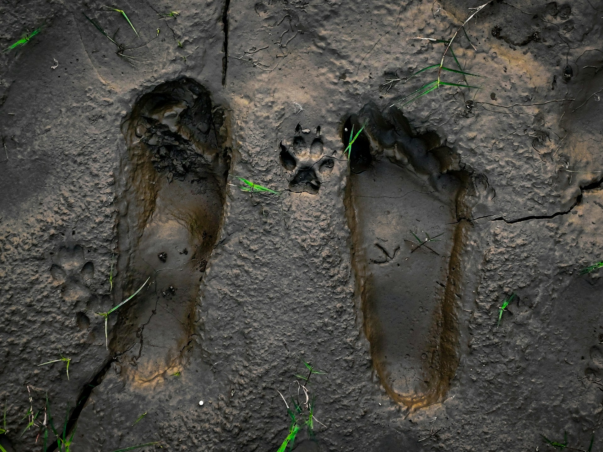 A couple of footprints that are in the dirt