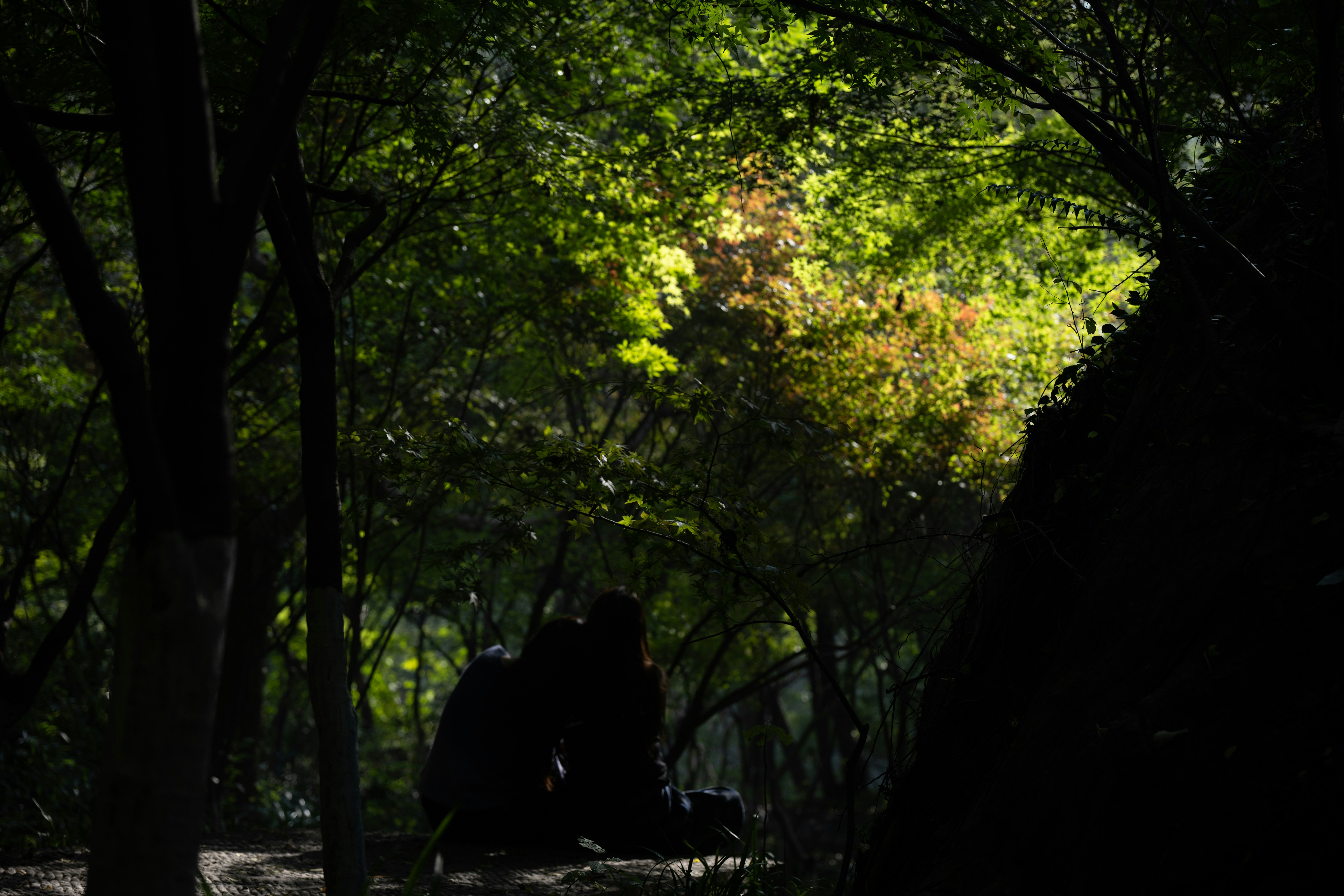 Photo by momo_momo_momo