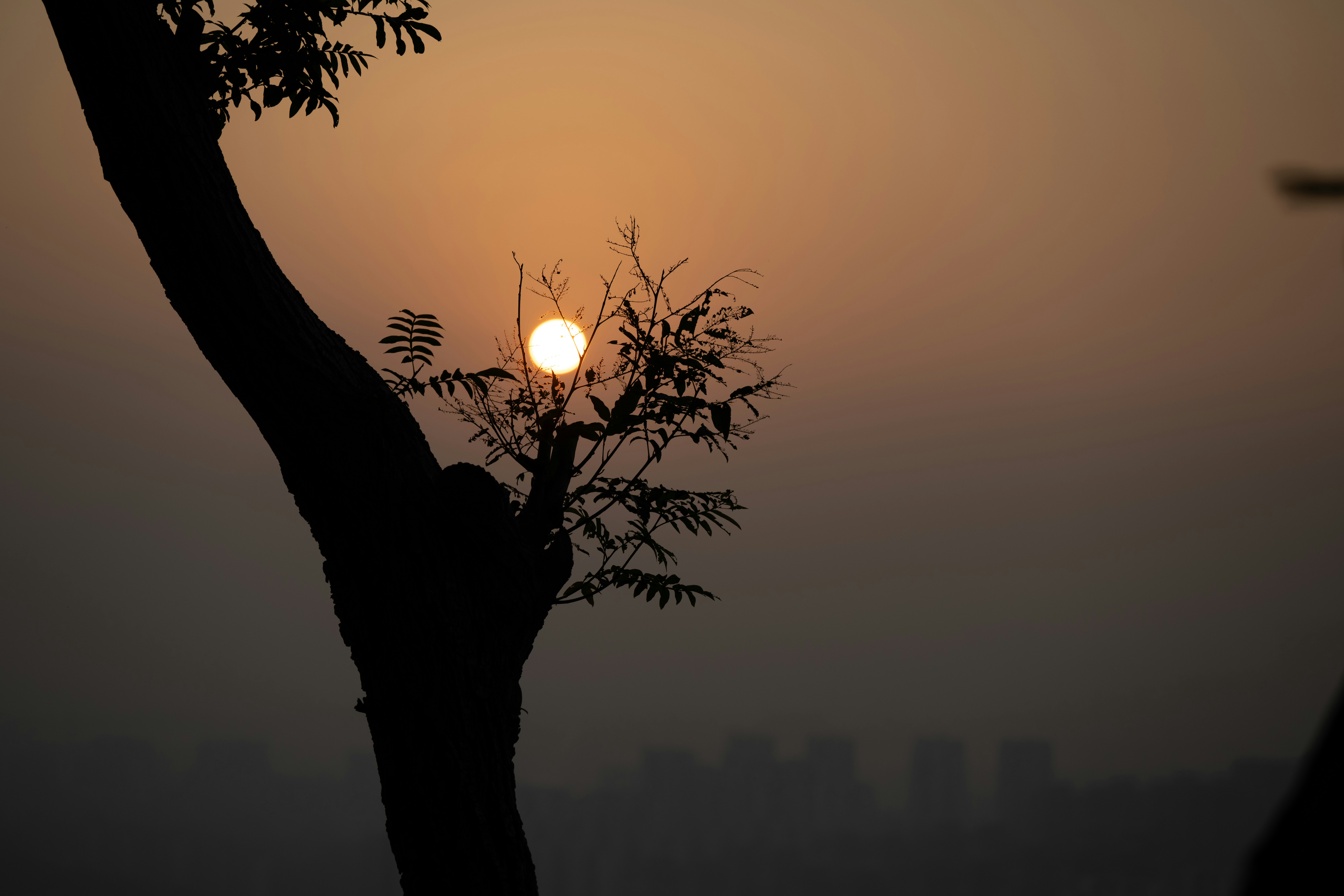 Photo by momo_momo_momo