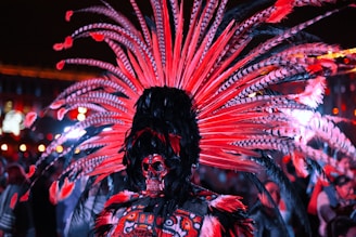 A person in a costume with feathers on their head