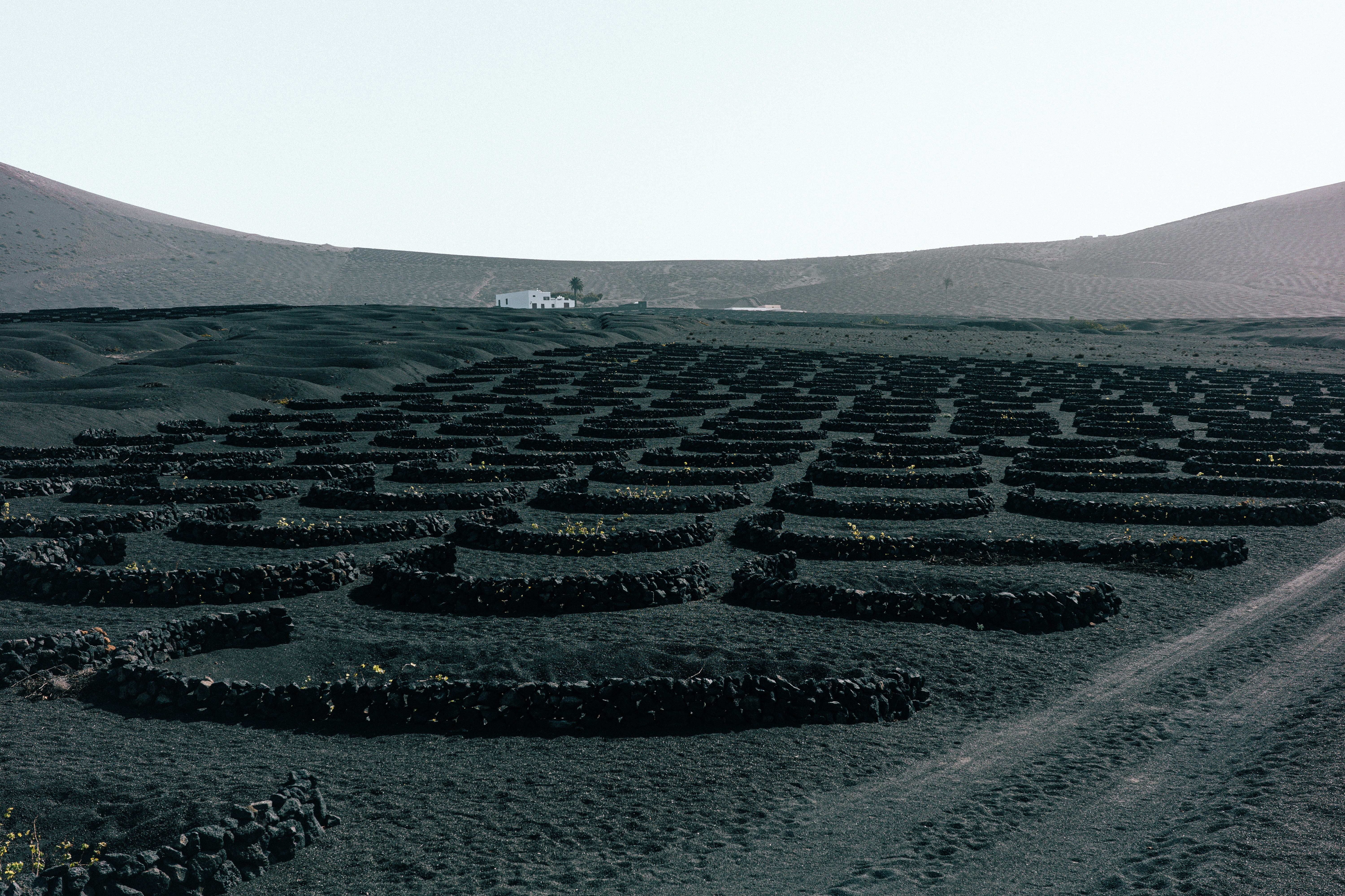 A large maze in the middle of a field