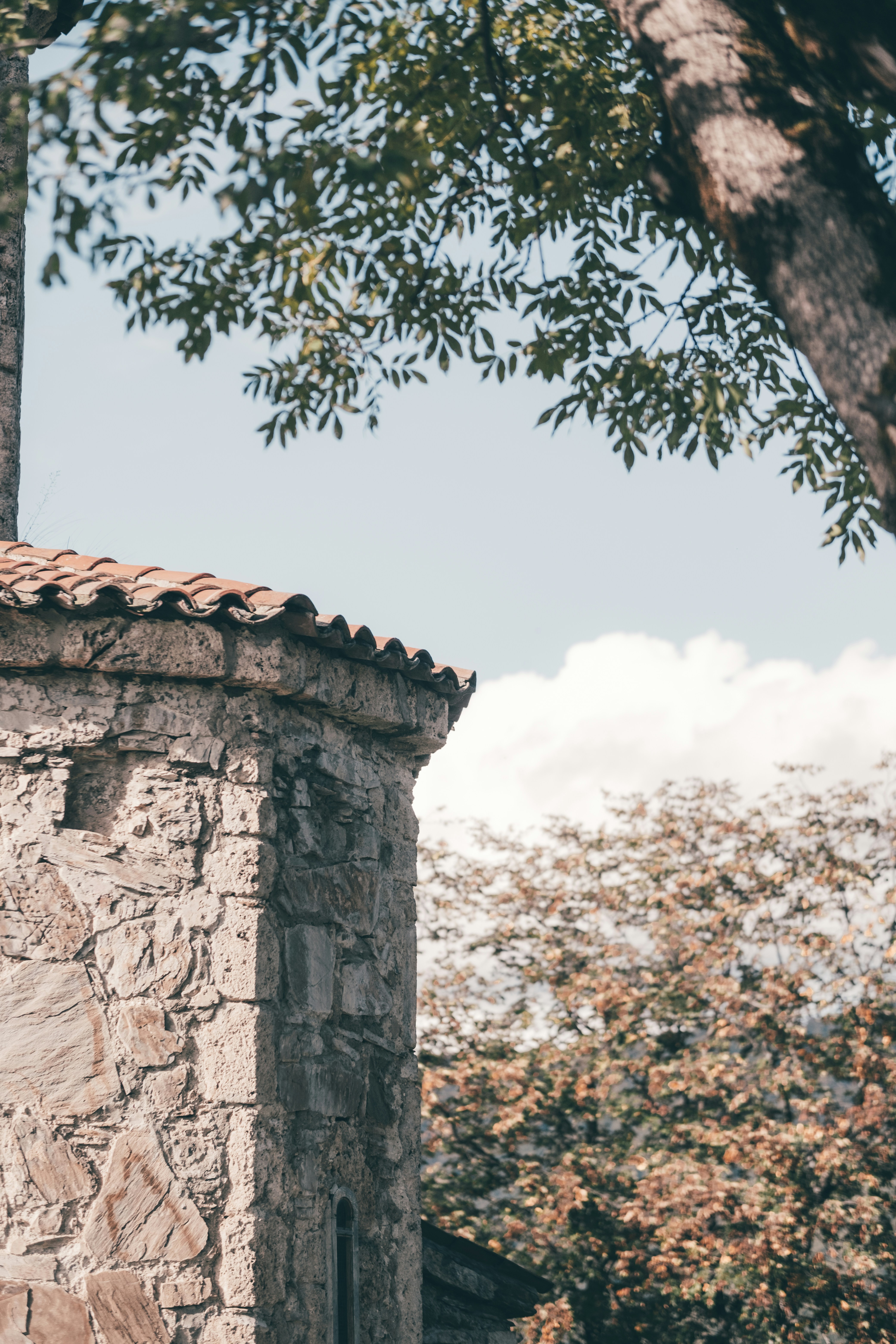 Photo by lazyeyedone