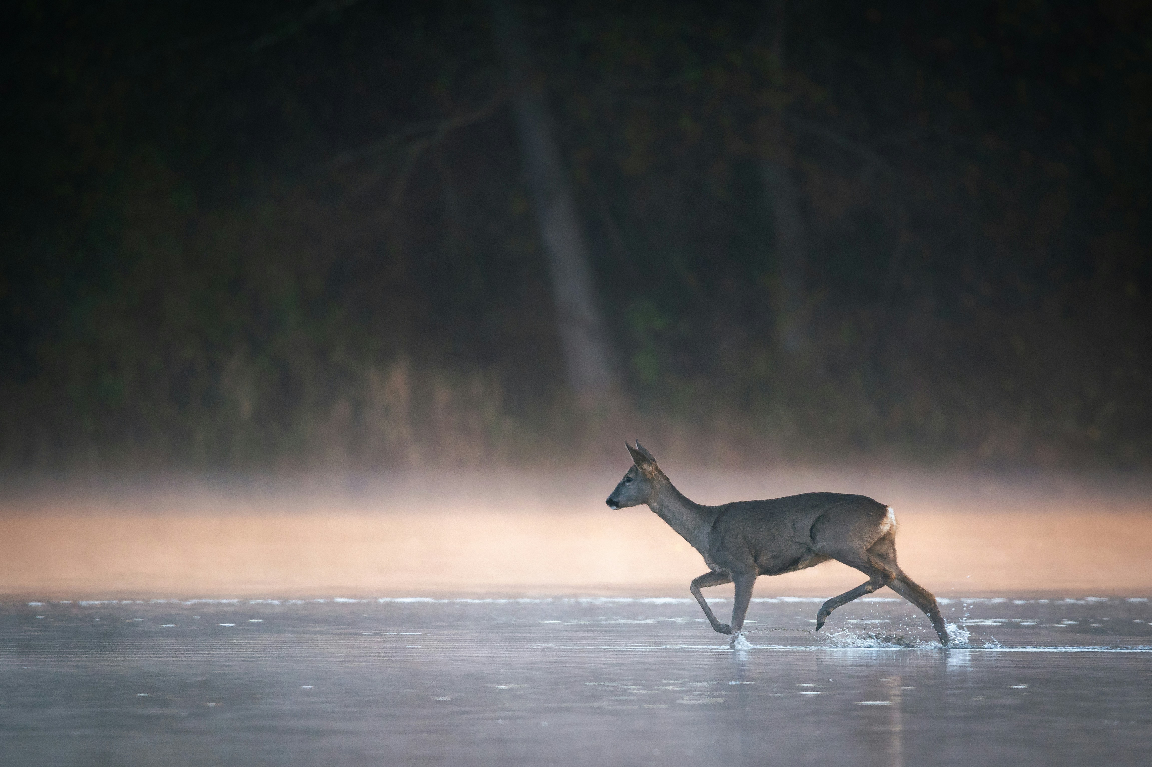 직장보험과 지역보험의 차이점 알아보기