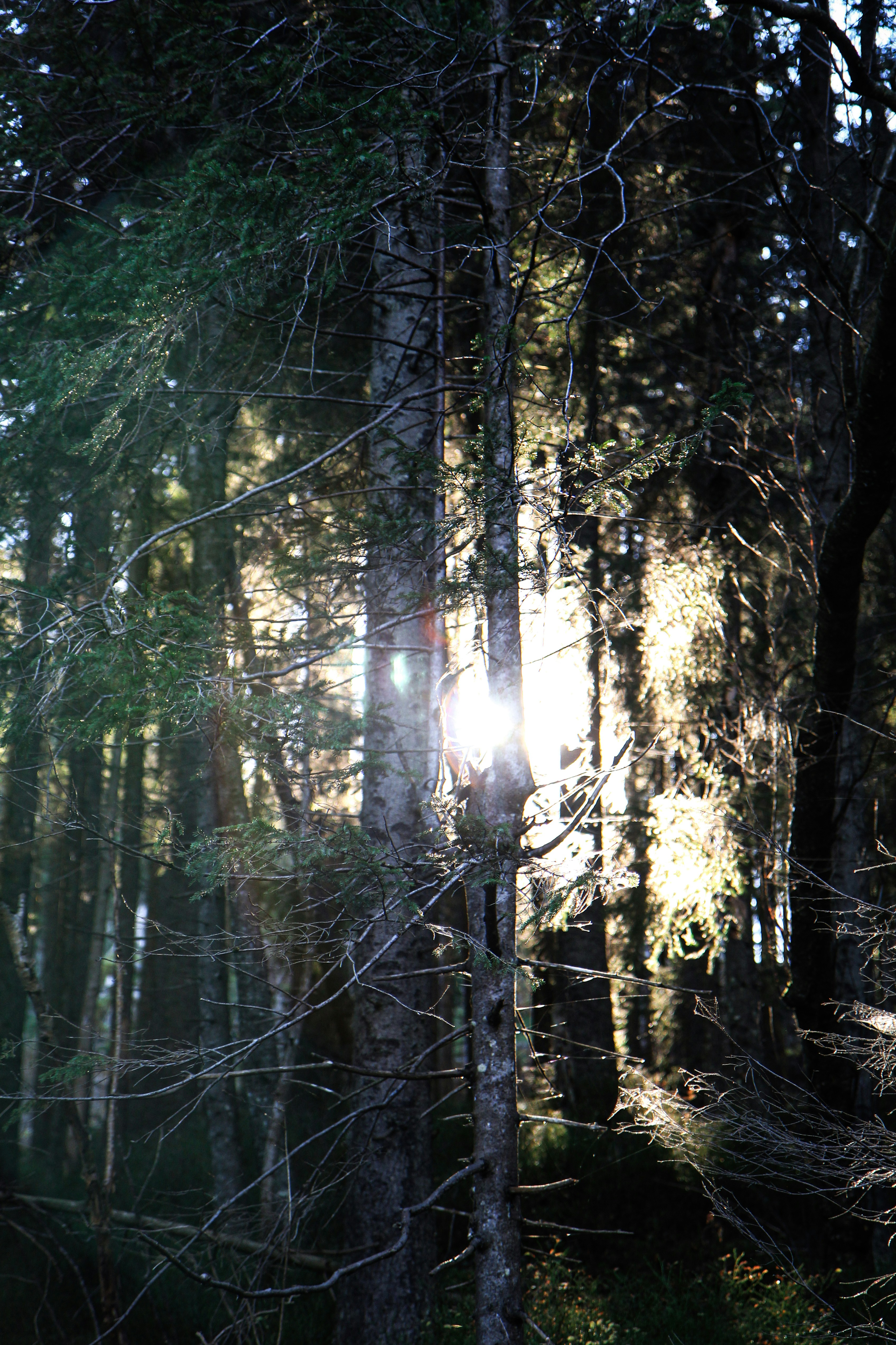 Photo by alex_golovachko