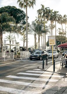 A city street with cars and palm trees