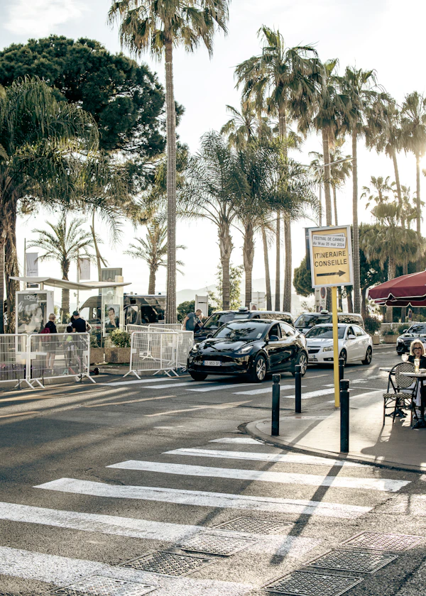 Cannes Croisette palmiers