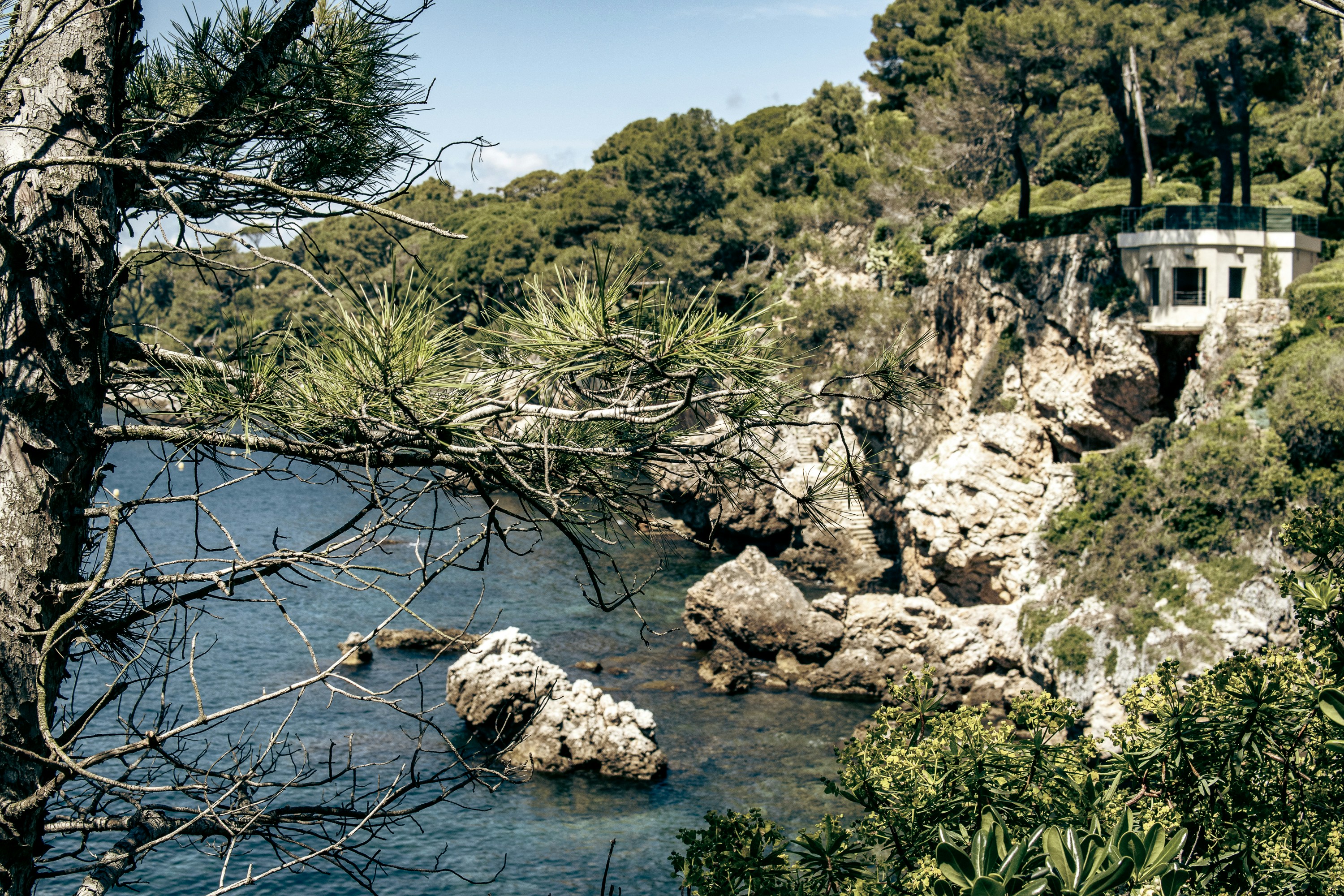 Photo by itsbrunoagain