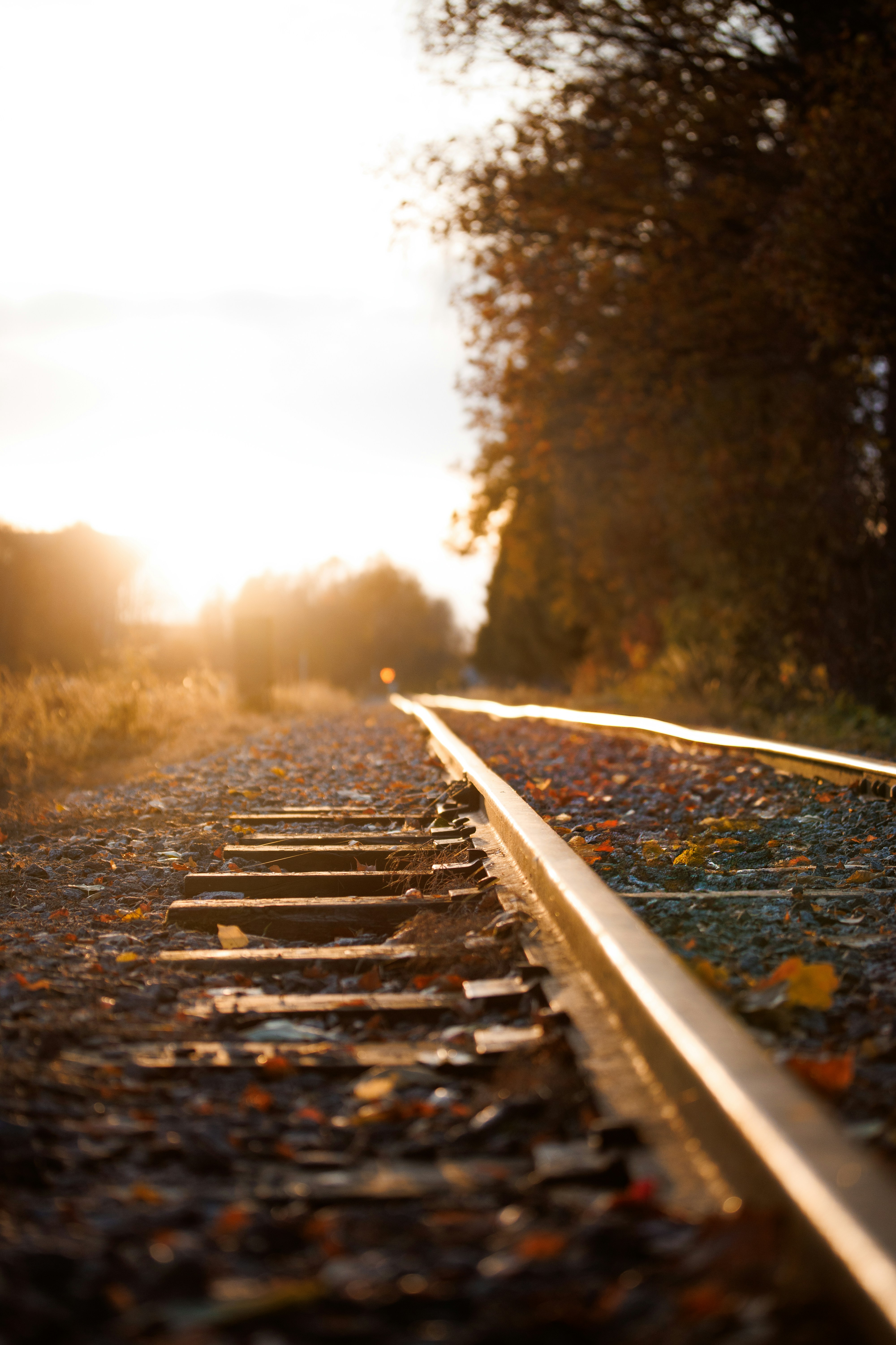 Photo by raedkasrawani