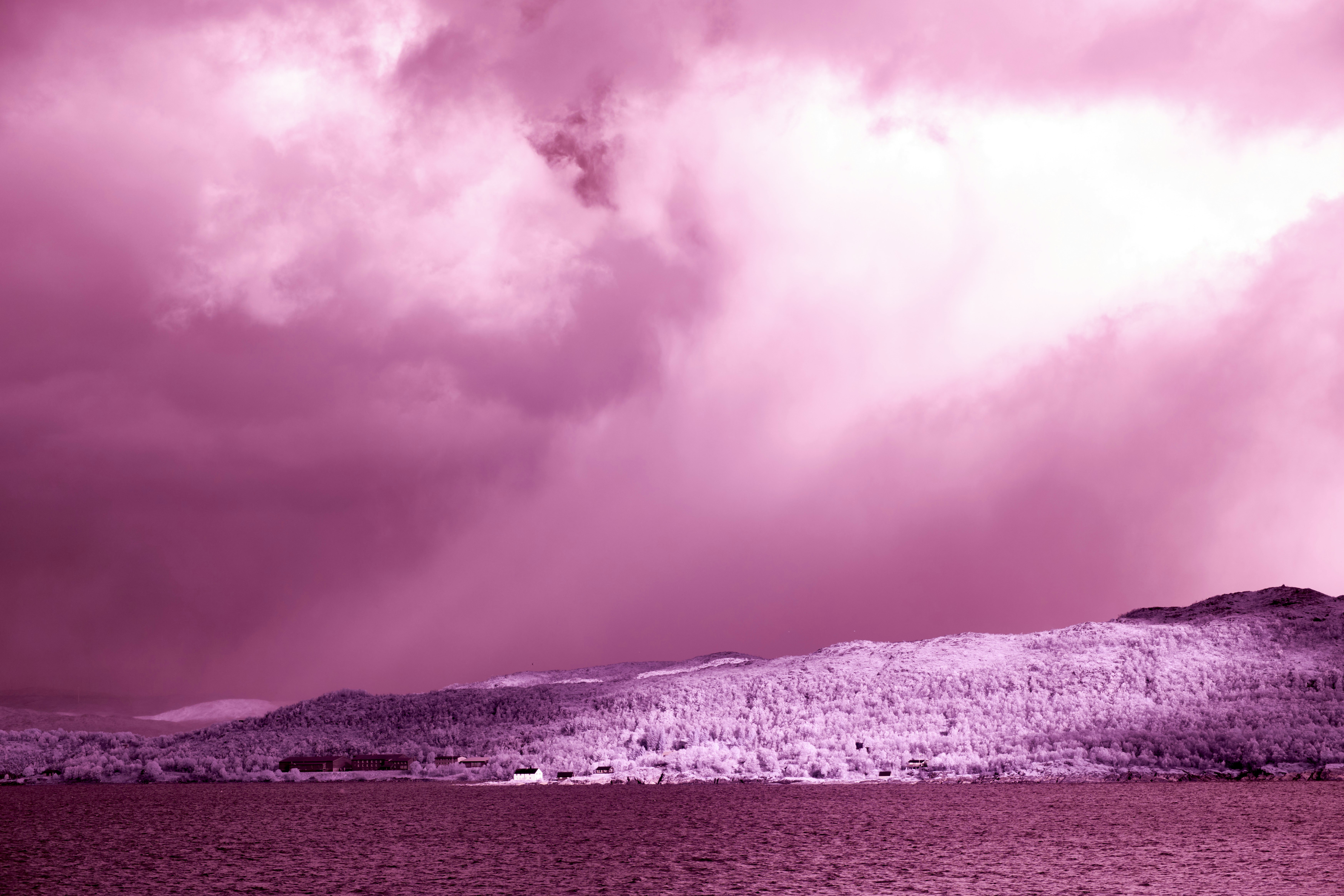 Photo by wolfgang_hasselmann