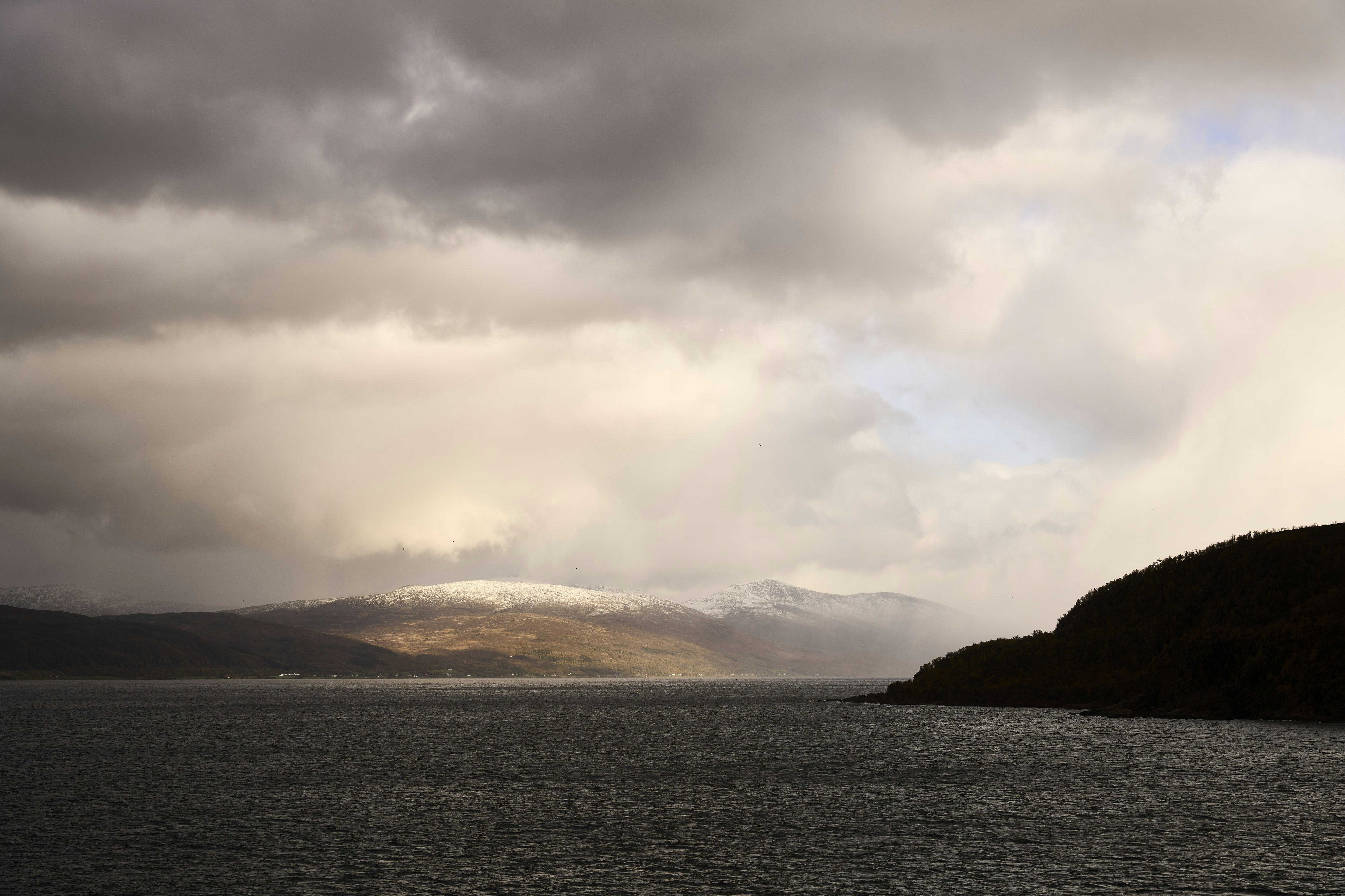 Photo by wolfgang_hasselmann