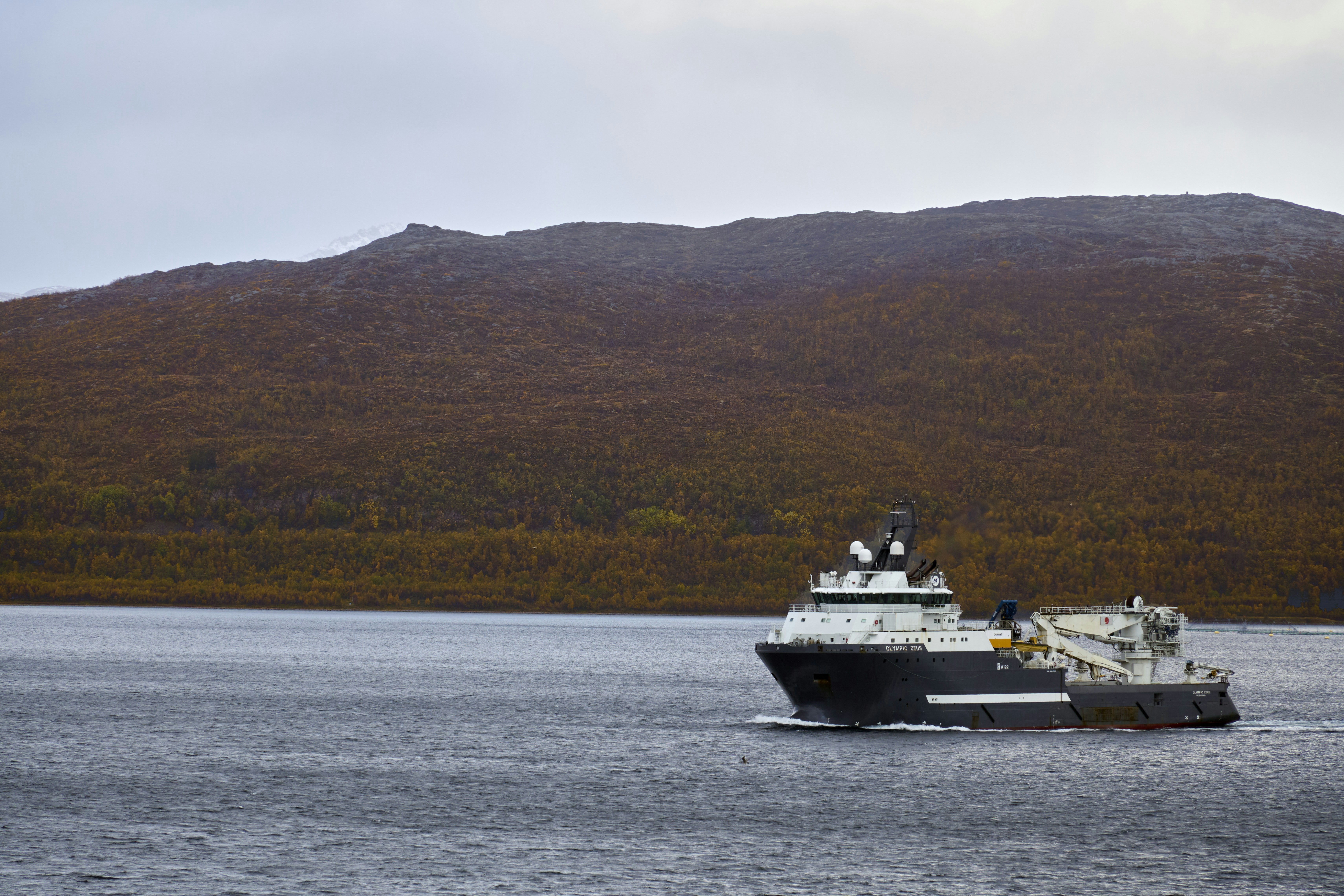 Photo by wolfgang_hasselmann