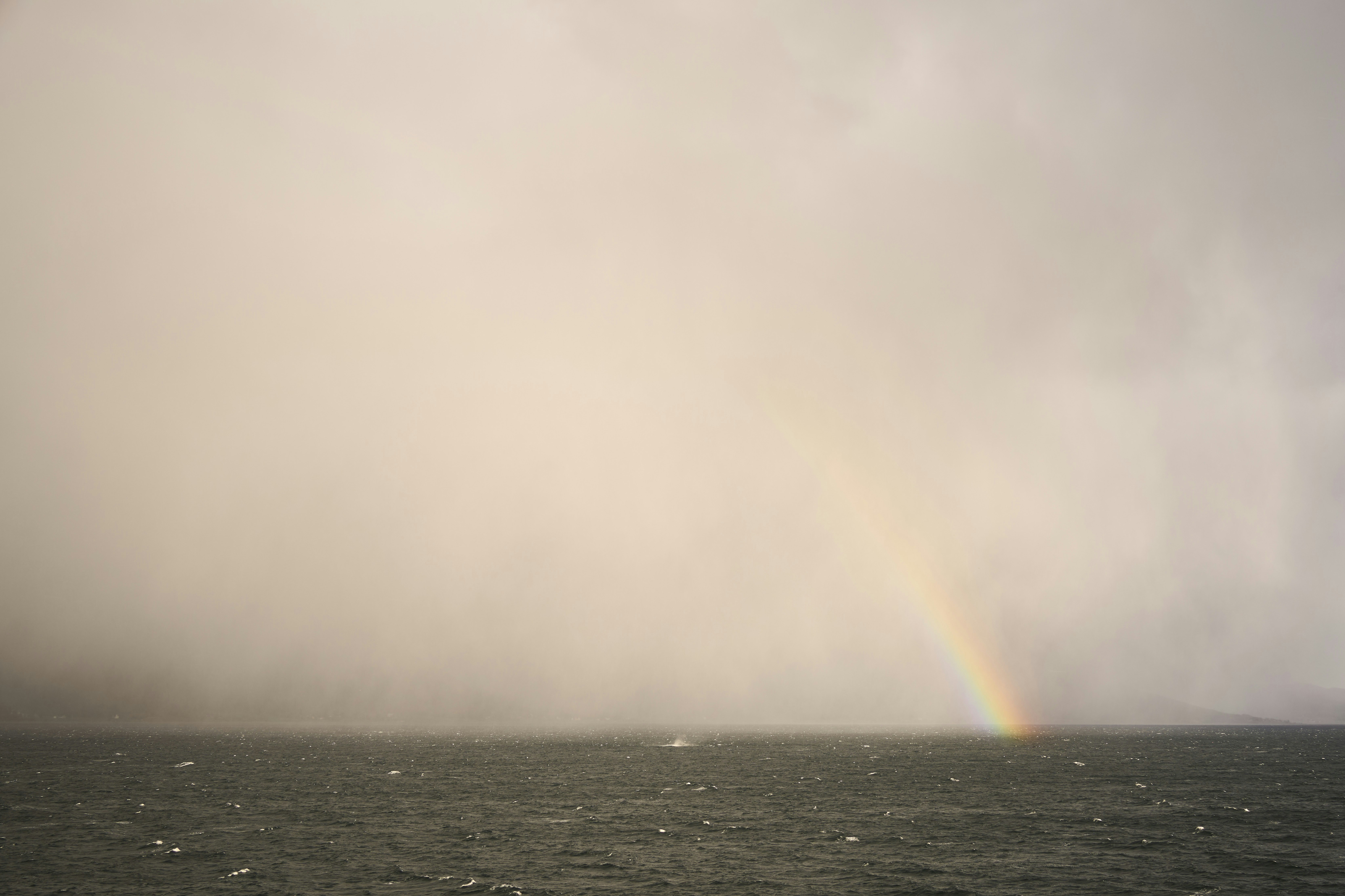 Photo by wolfgang_hasselmann