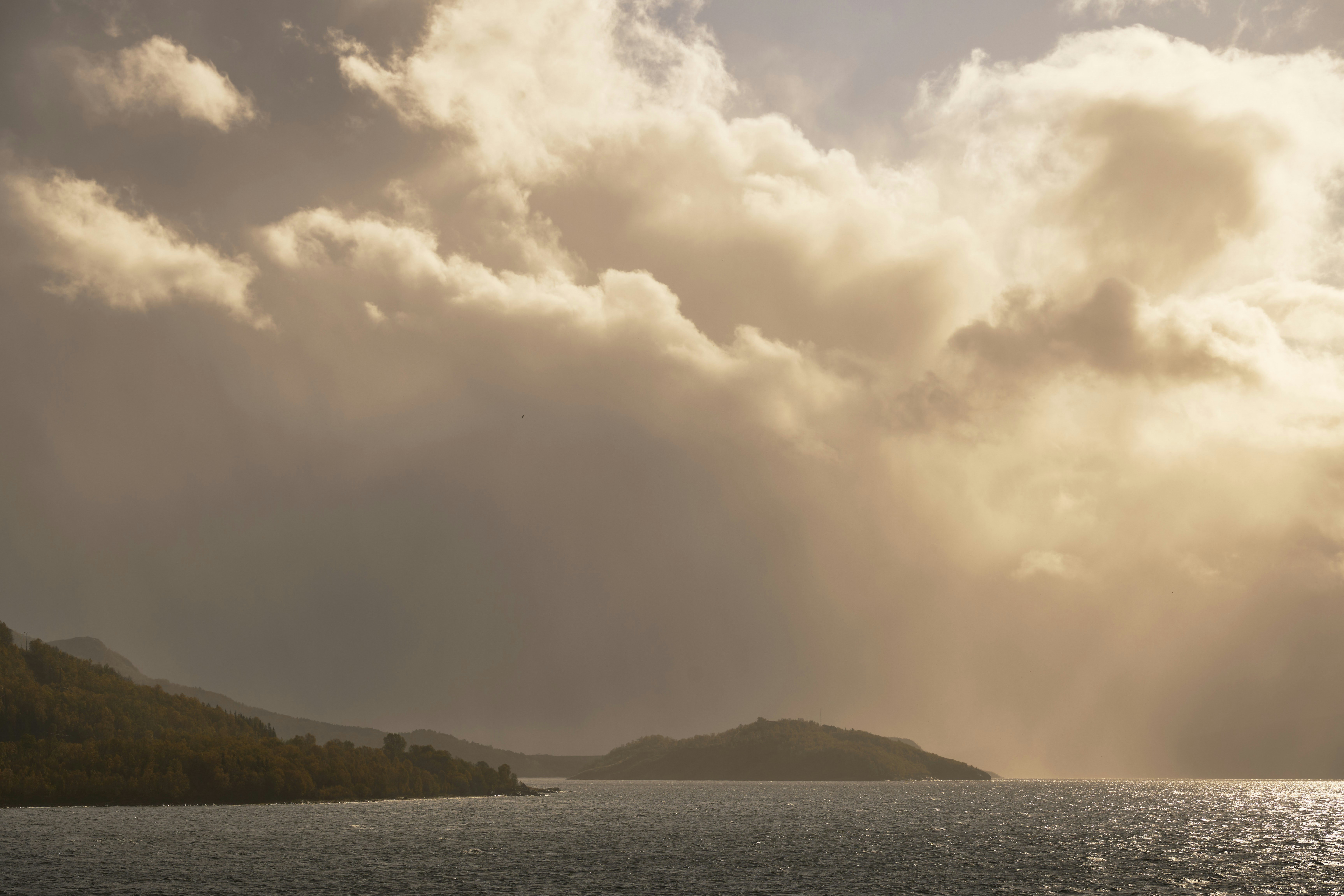 Photo by wolfgang_hasselmann