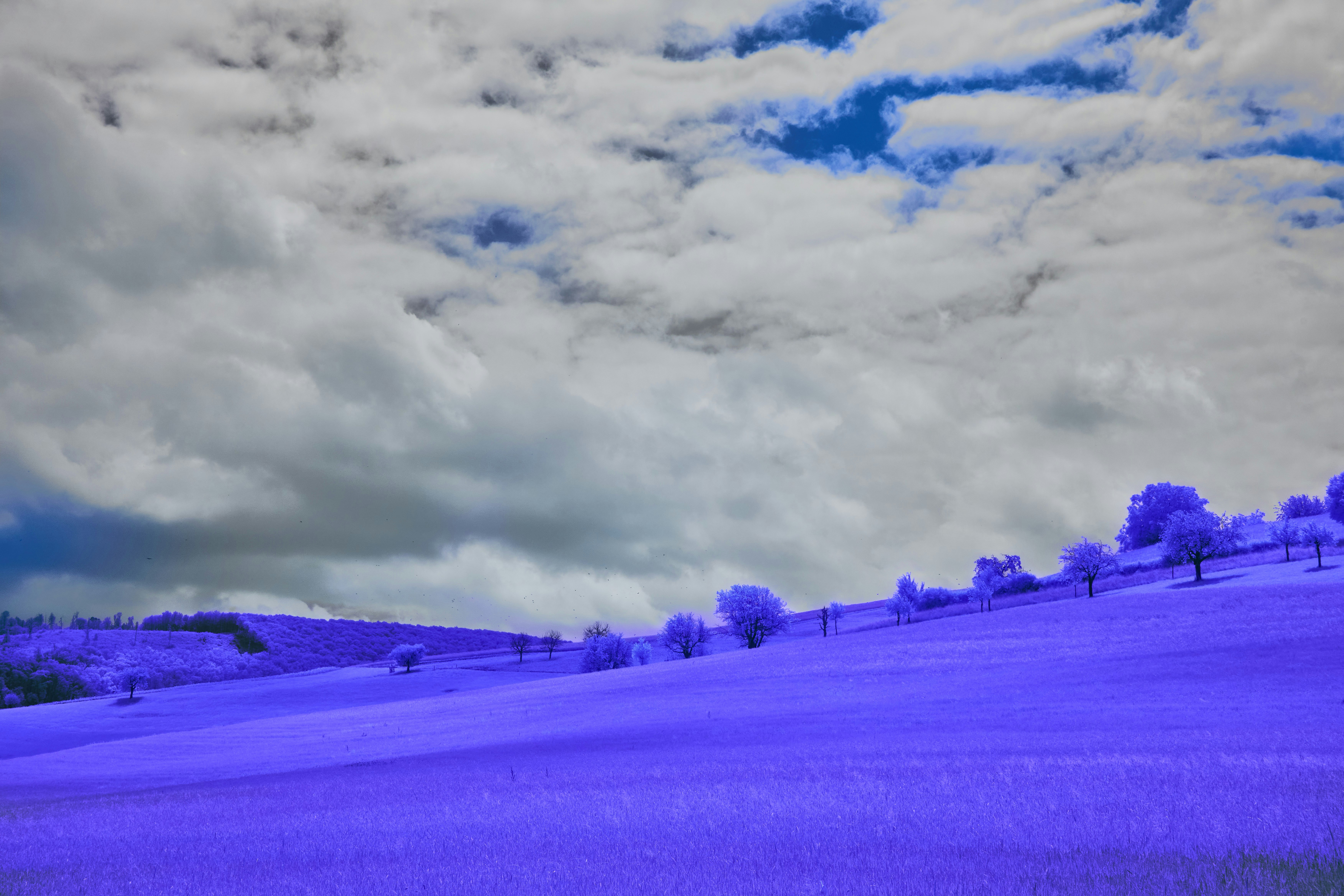 Photo by wolfgang_hasselmann