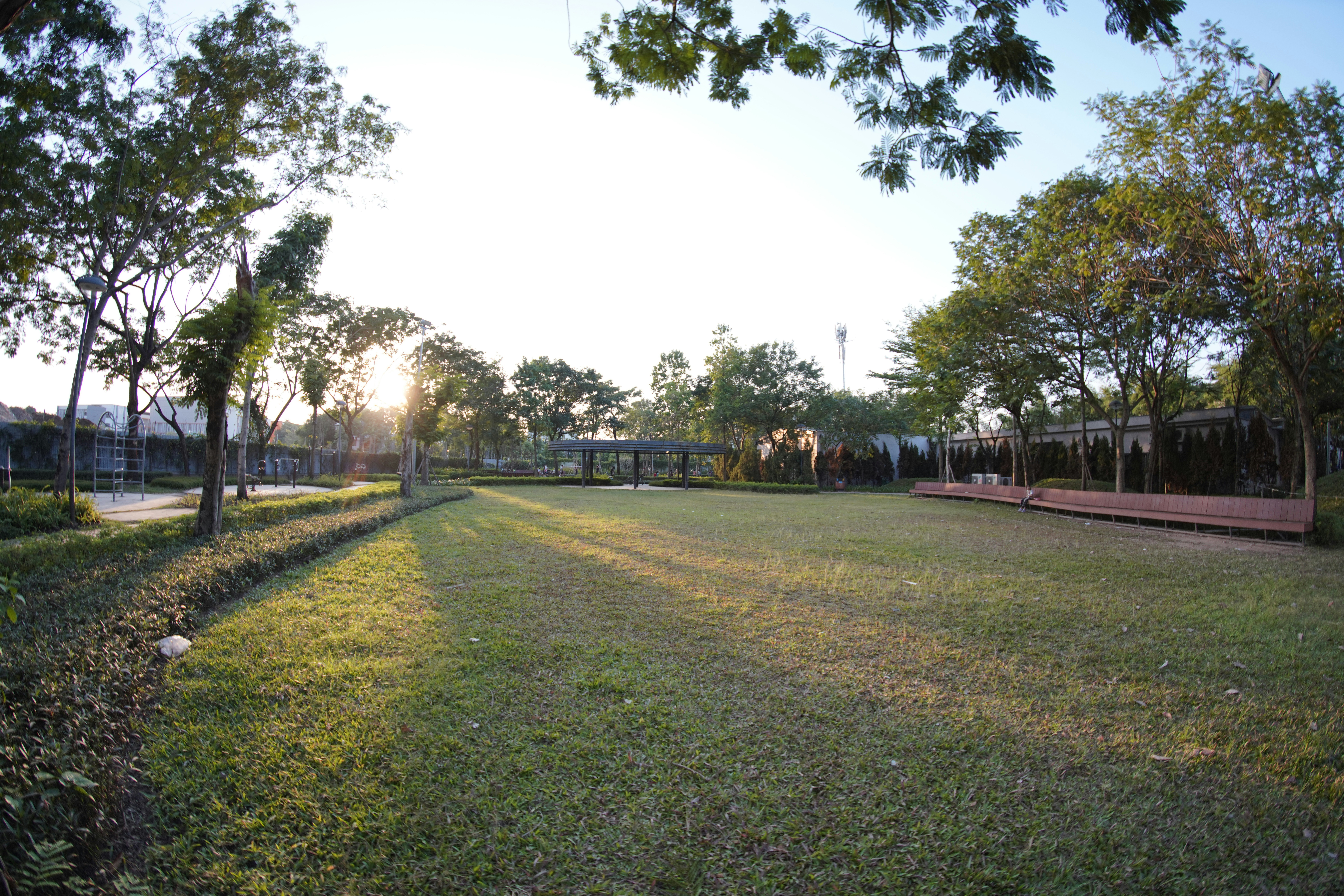 Photo by ngan0982256781