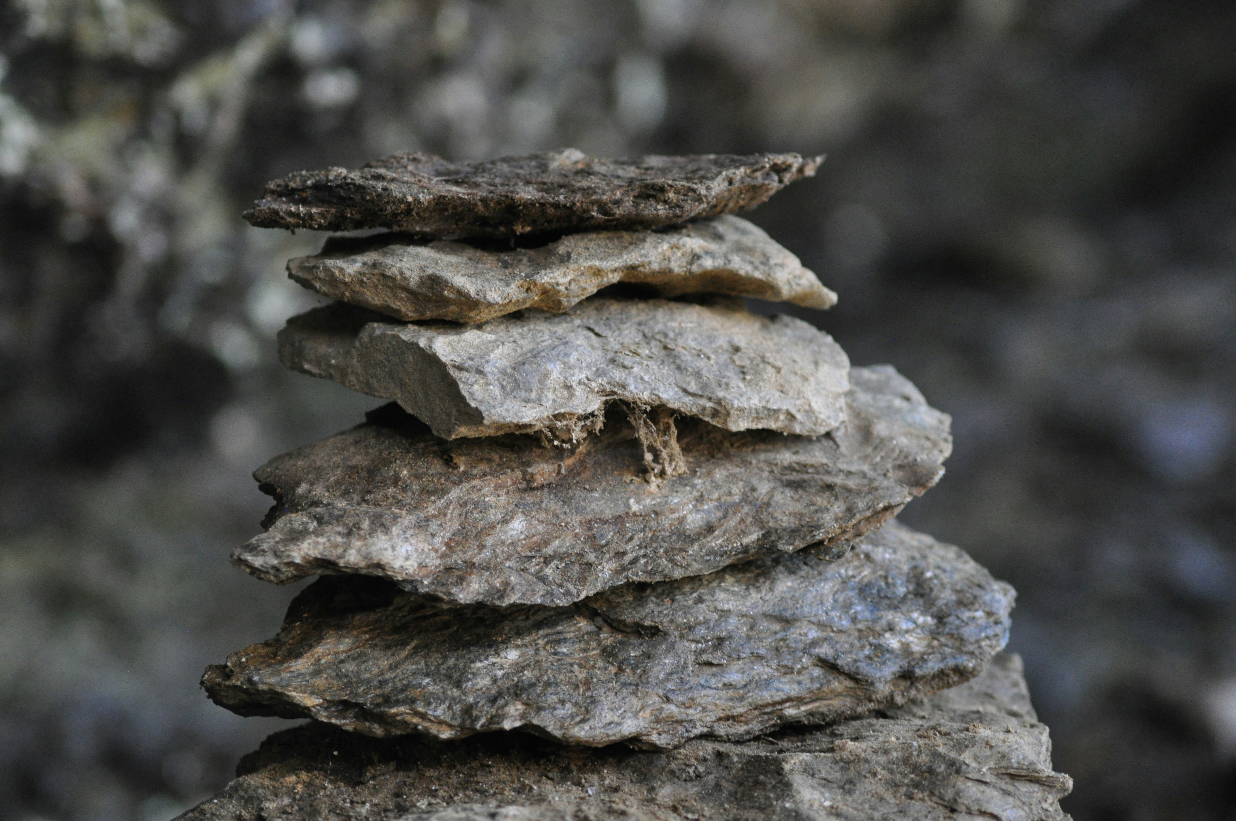 Photo by rebeccaobern