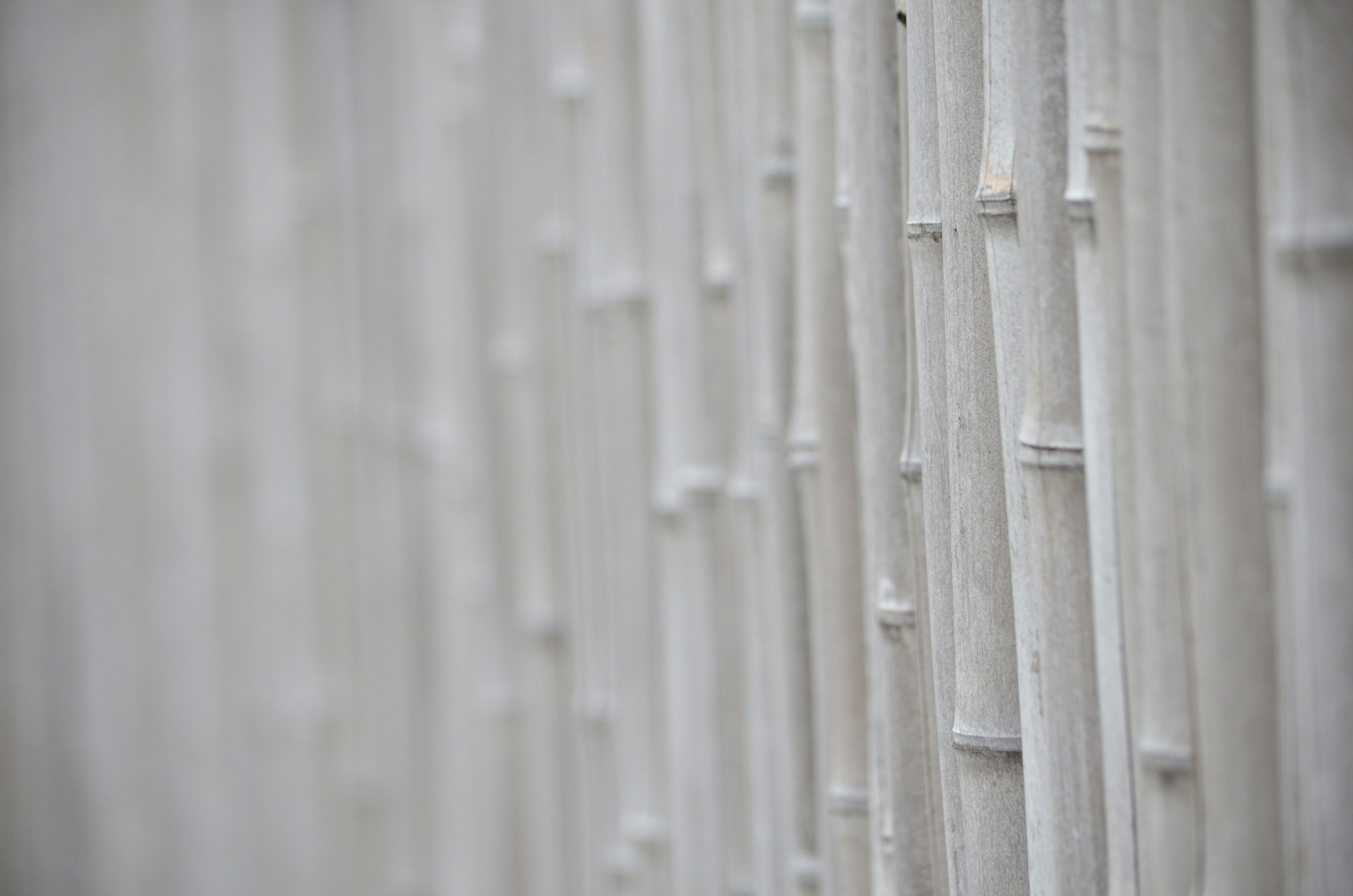 Photo by zlobiwankenobi