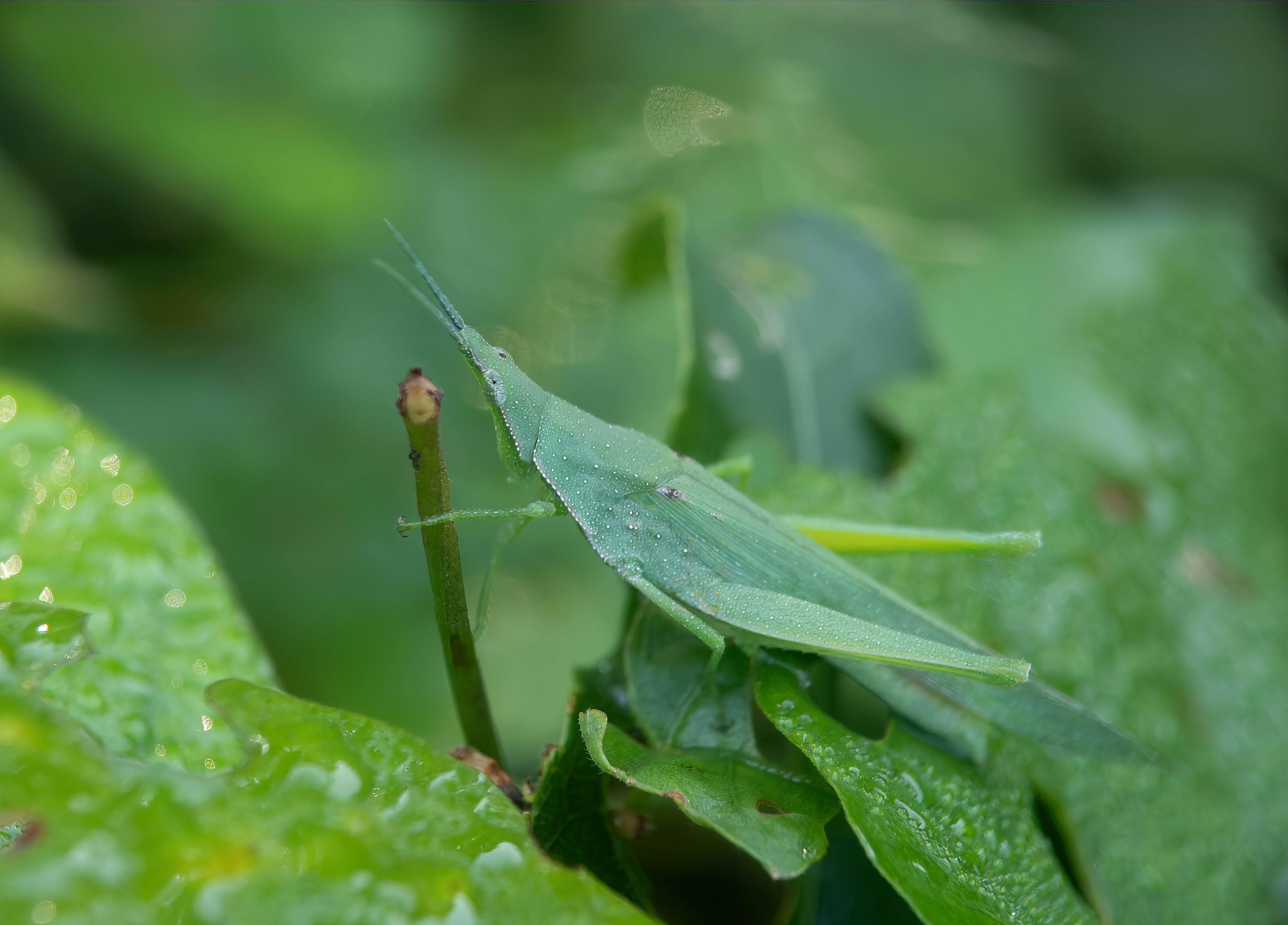 10 Solo Pickleball Practice Drills to Boost Your Game