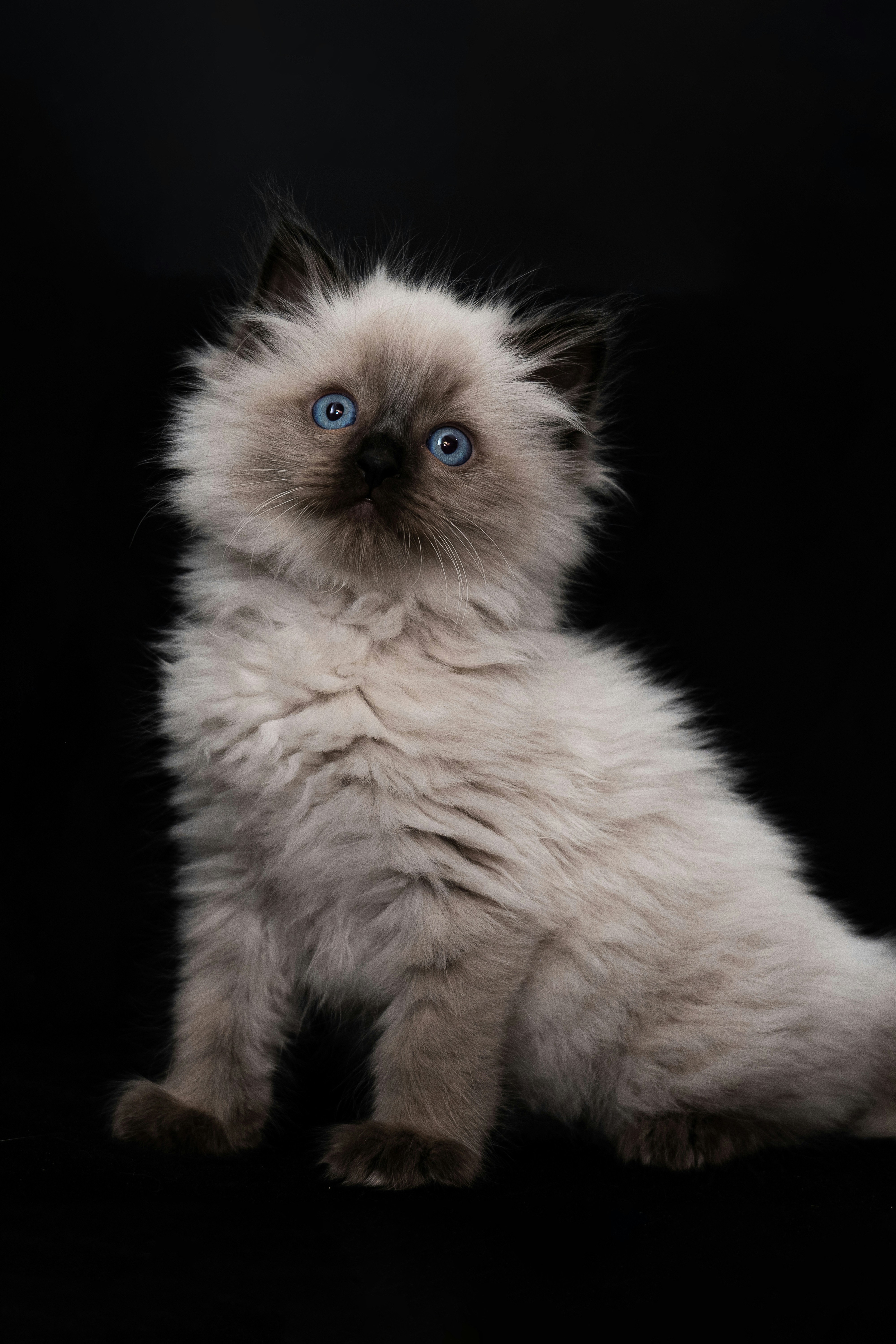 Photo by lukasparnican