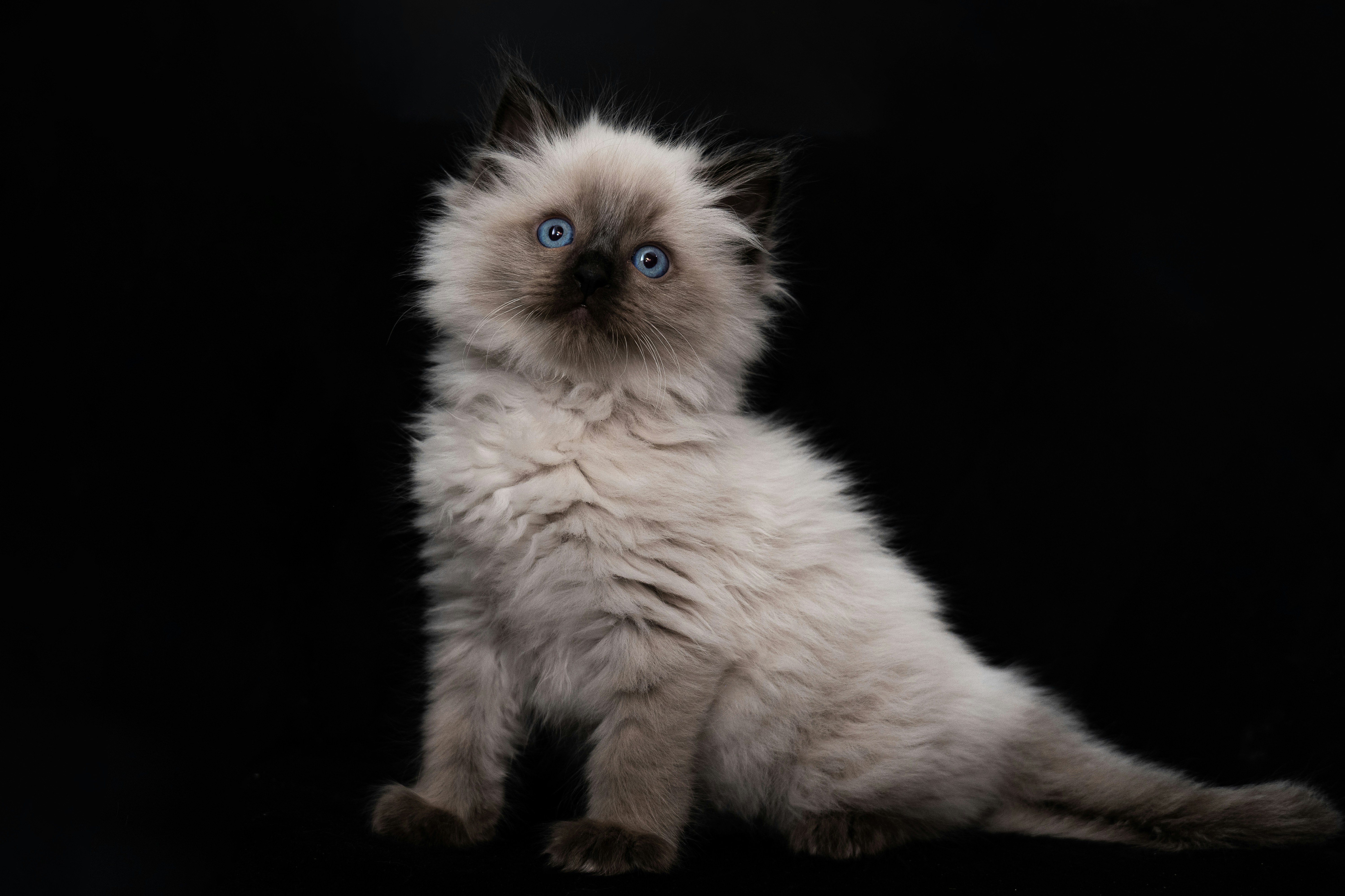 Photo by lukasparnican