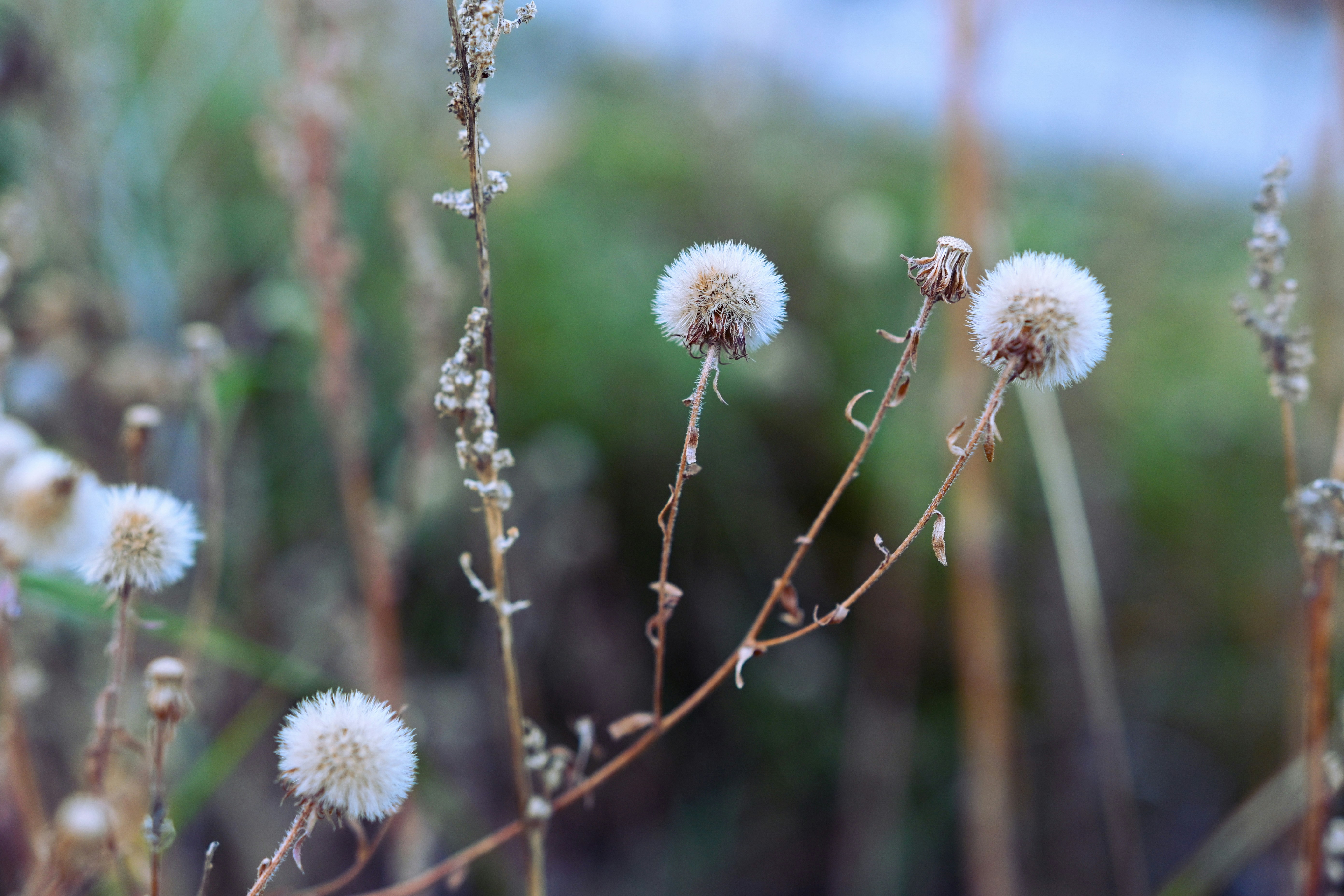 Photo by victoriakurcheva