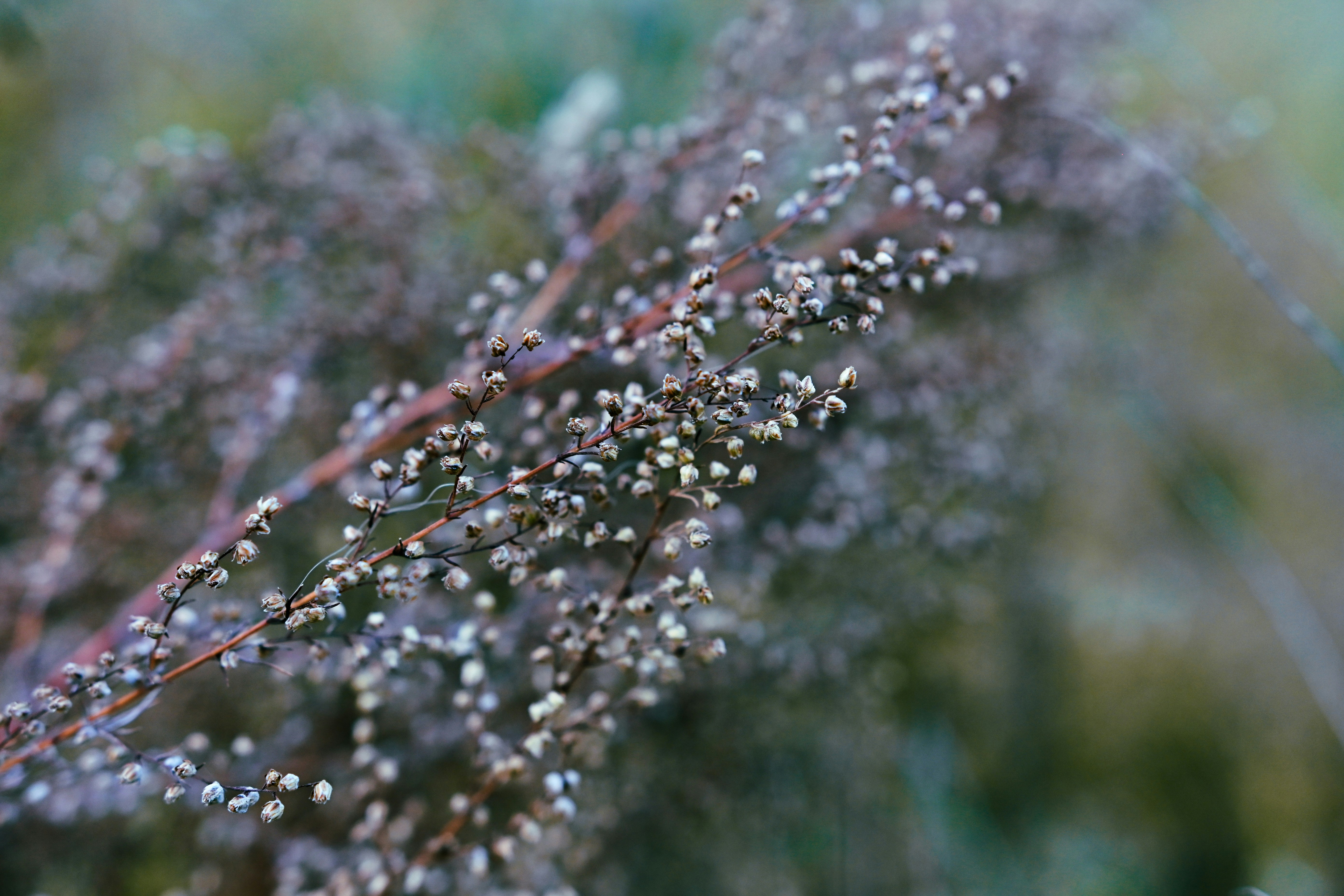 Photo by victoriakurcheva