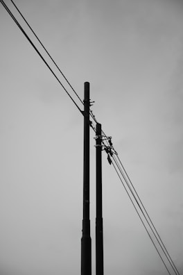A black and white photo of power lines and telephone poles