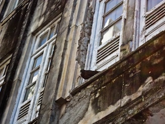 A bird sitting on the ledge of an old building