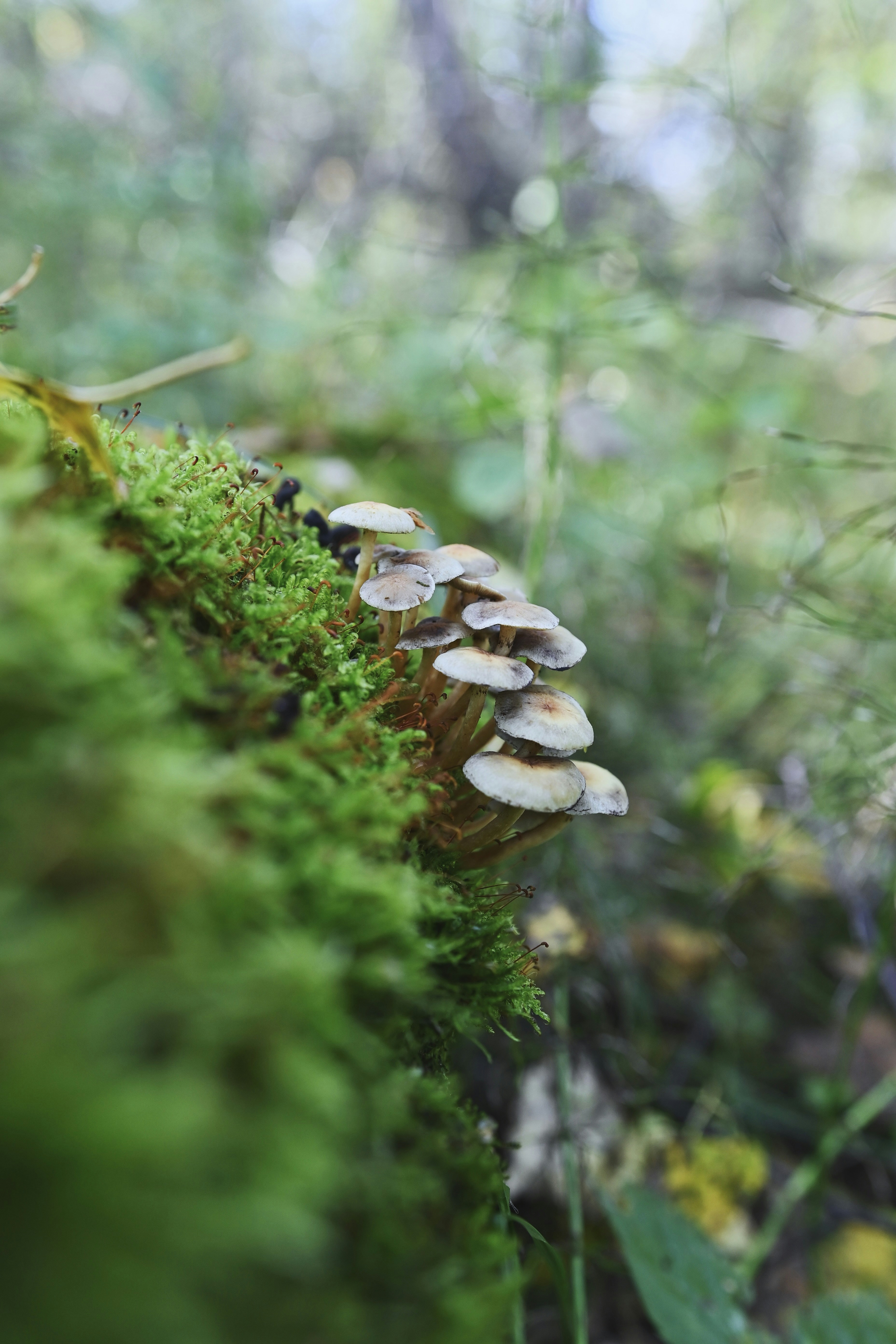 Photo by victoriakurcheva