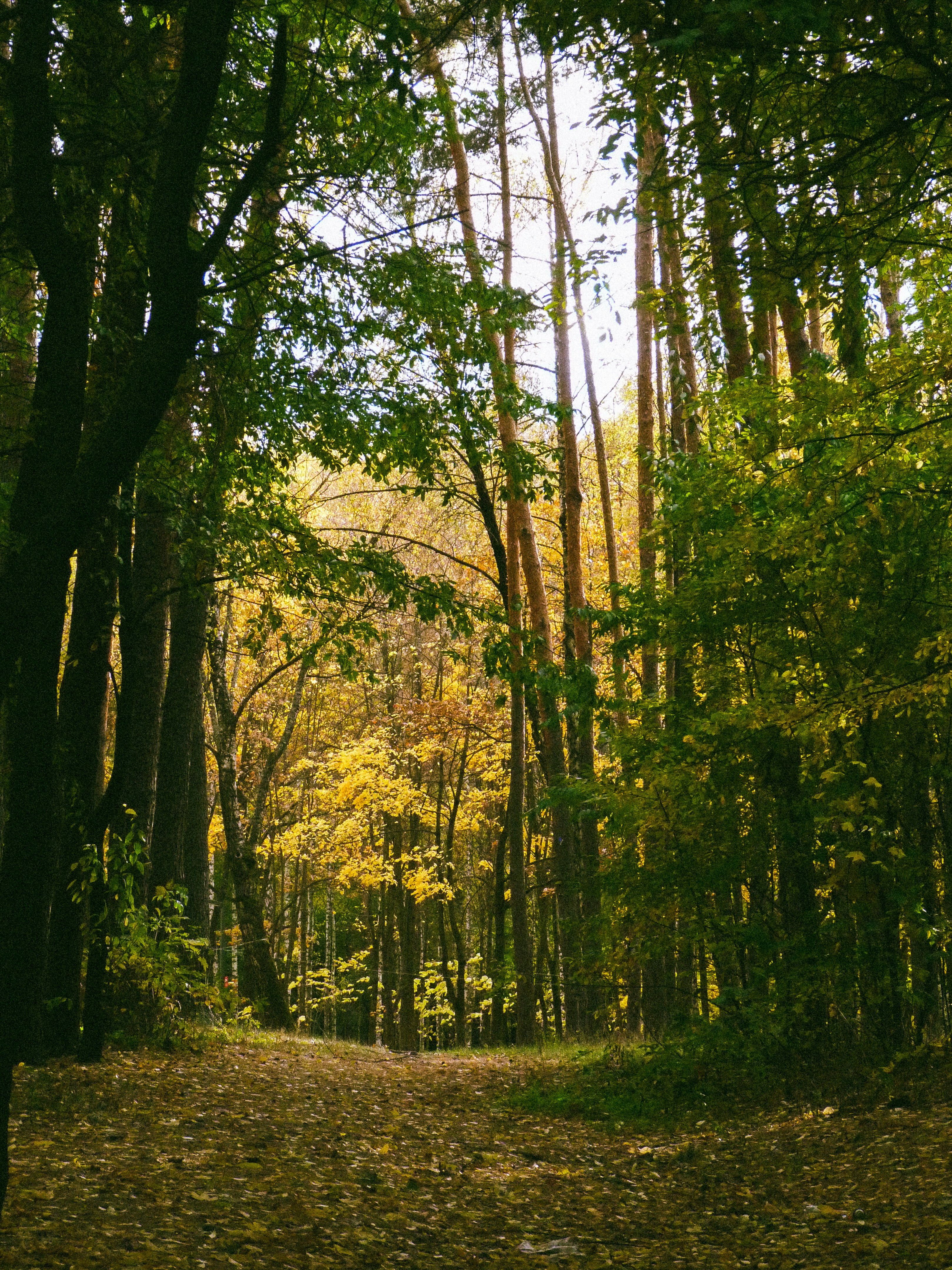 Photo by suleymanovae