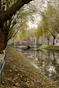 A river running through a park next to a bridge
