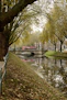 A river running through a park next to a bridge
